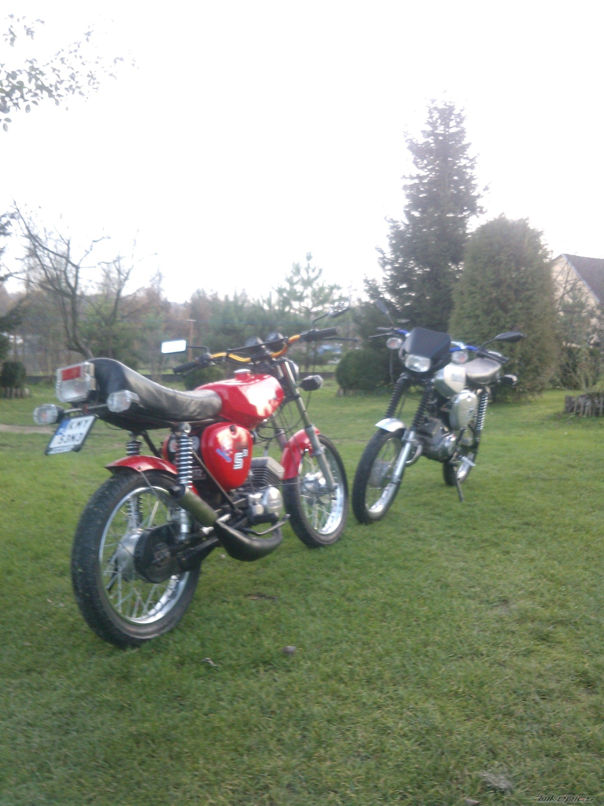 Photo 2620083
