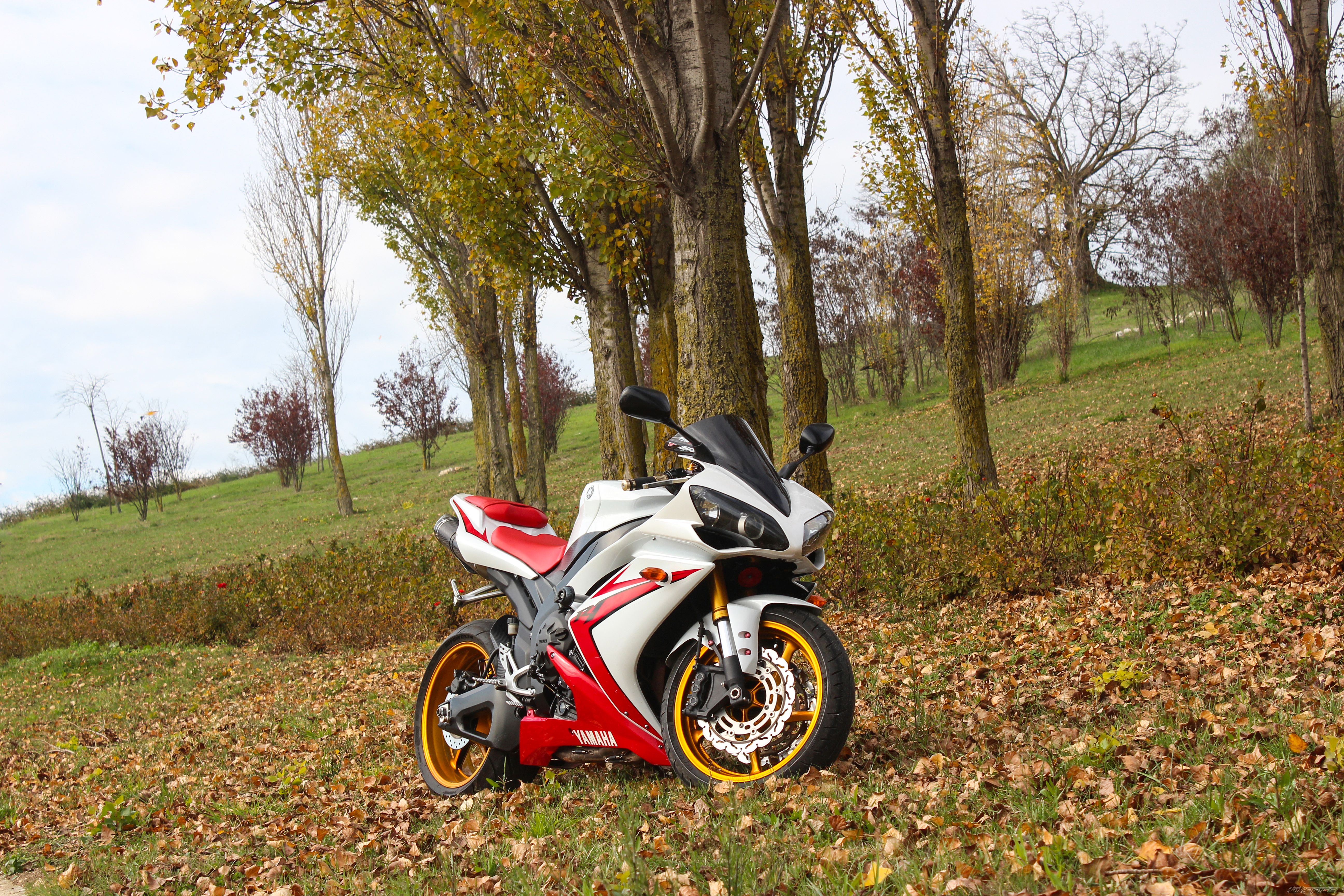 Bike Photo 2620224