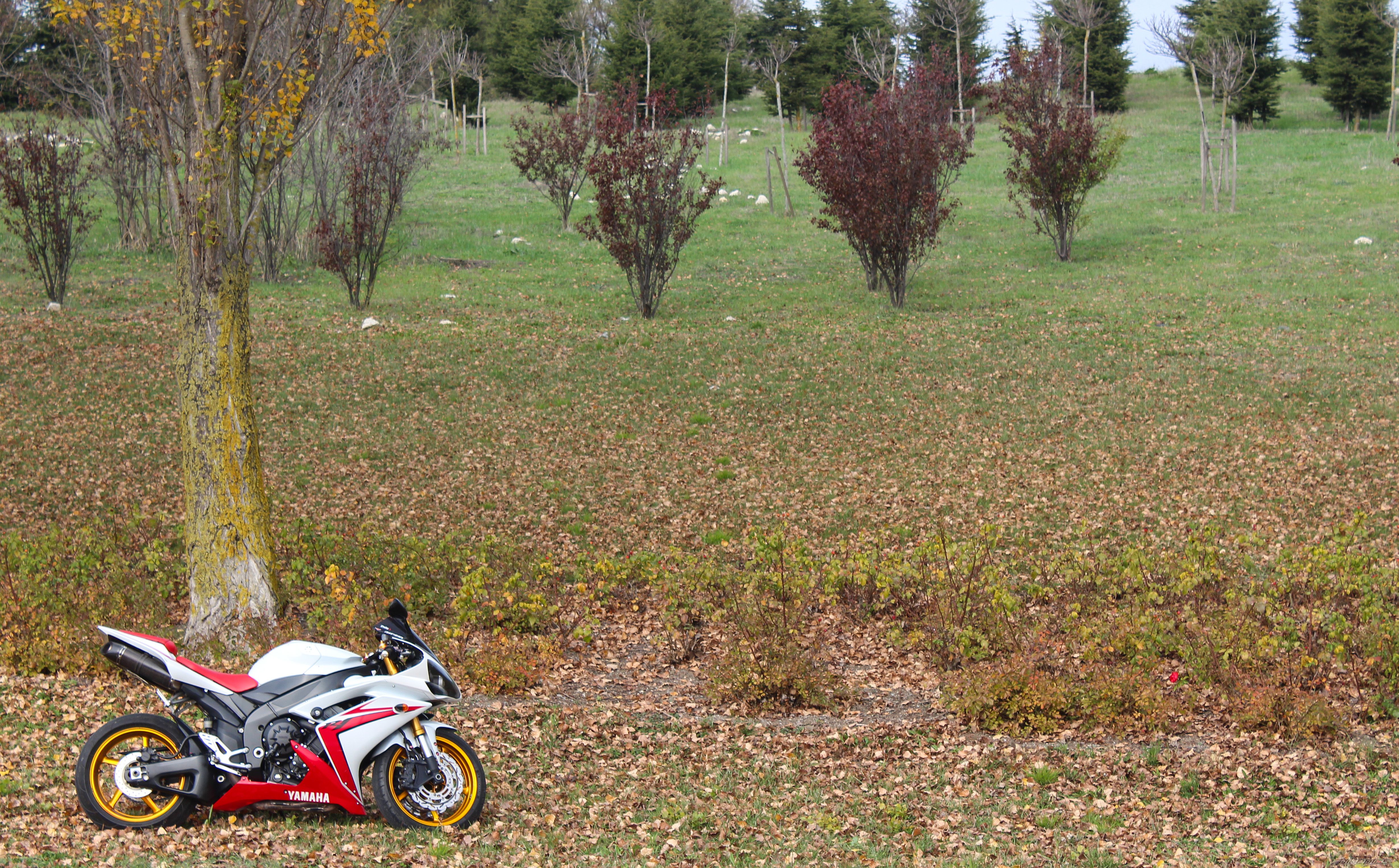 Bike Photo 2620225
