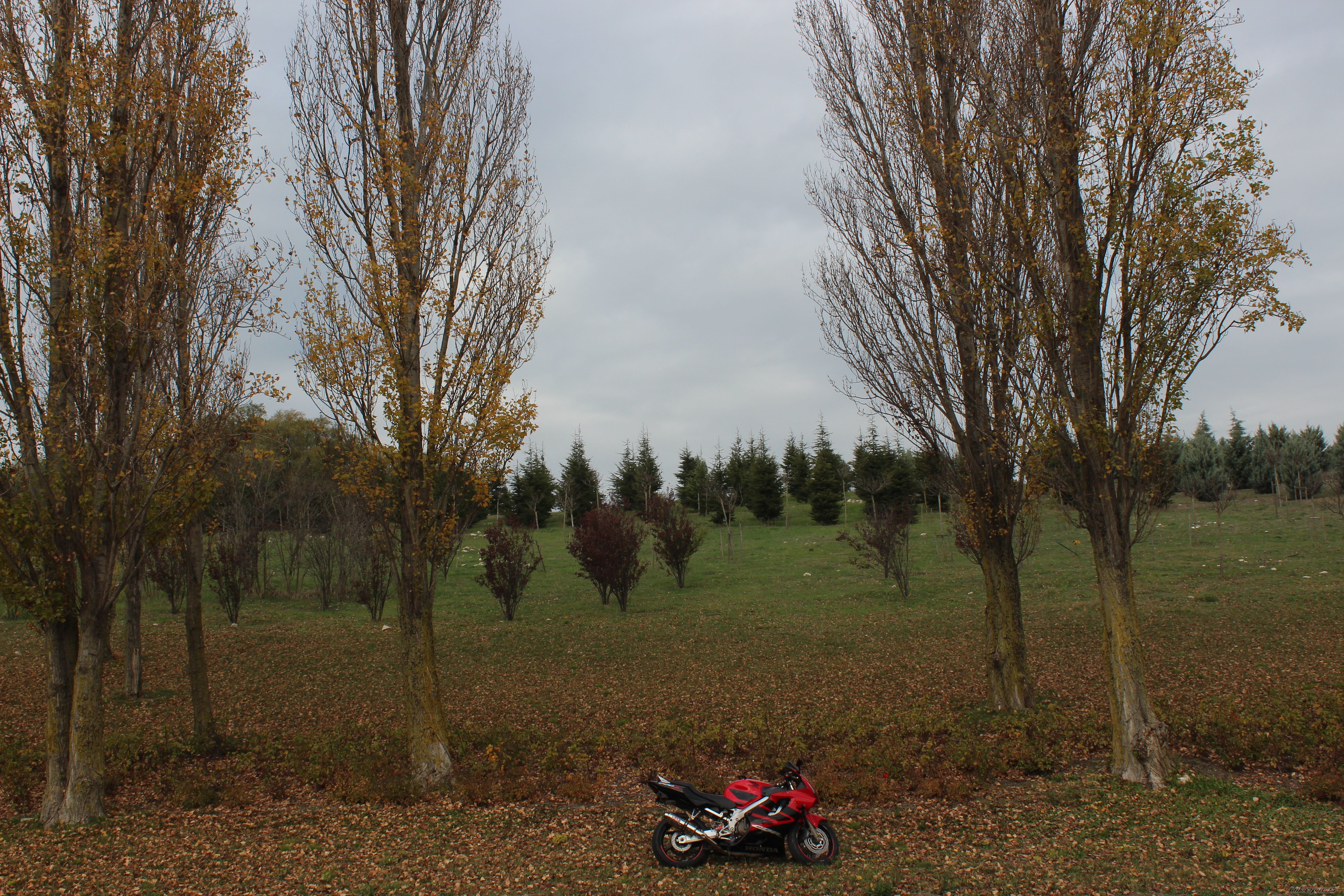 Photo 2620249