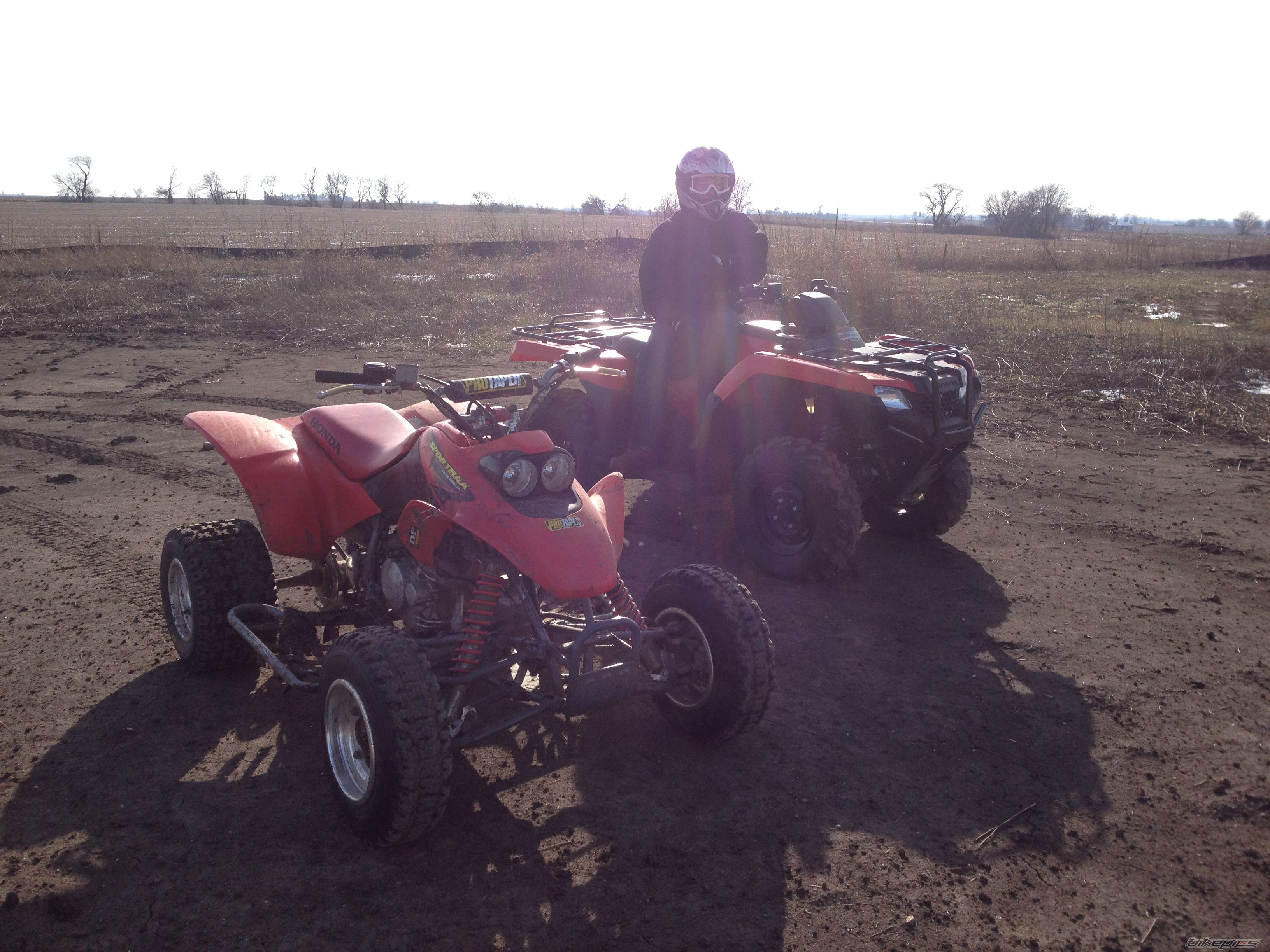 Photo 2620388