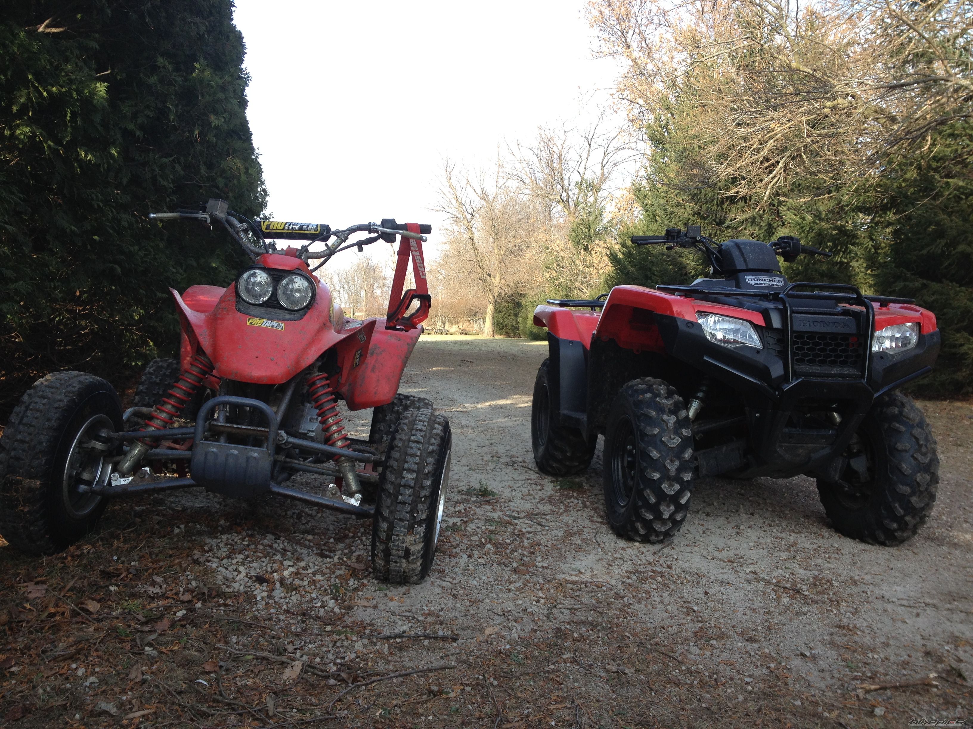 Photo 2620389