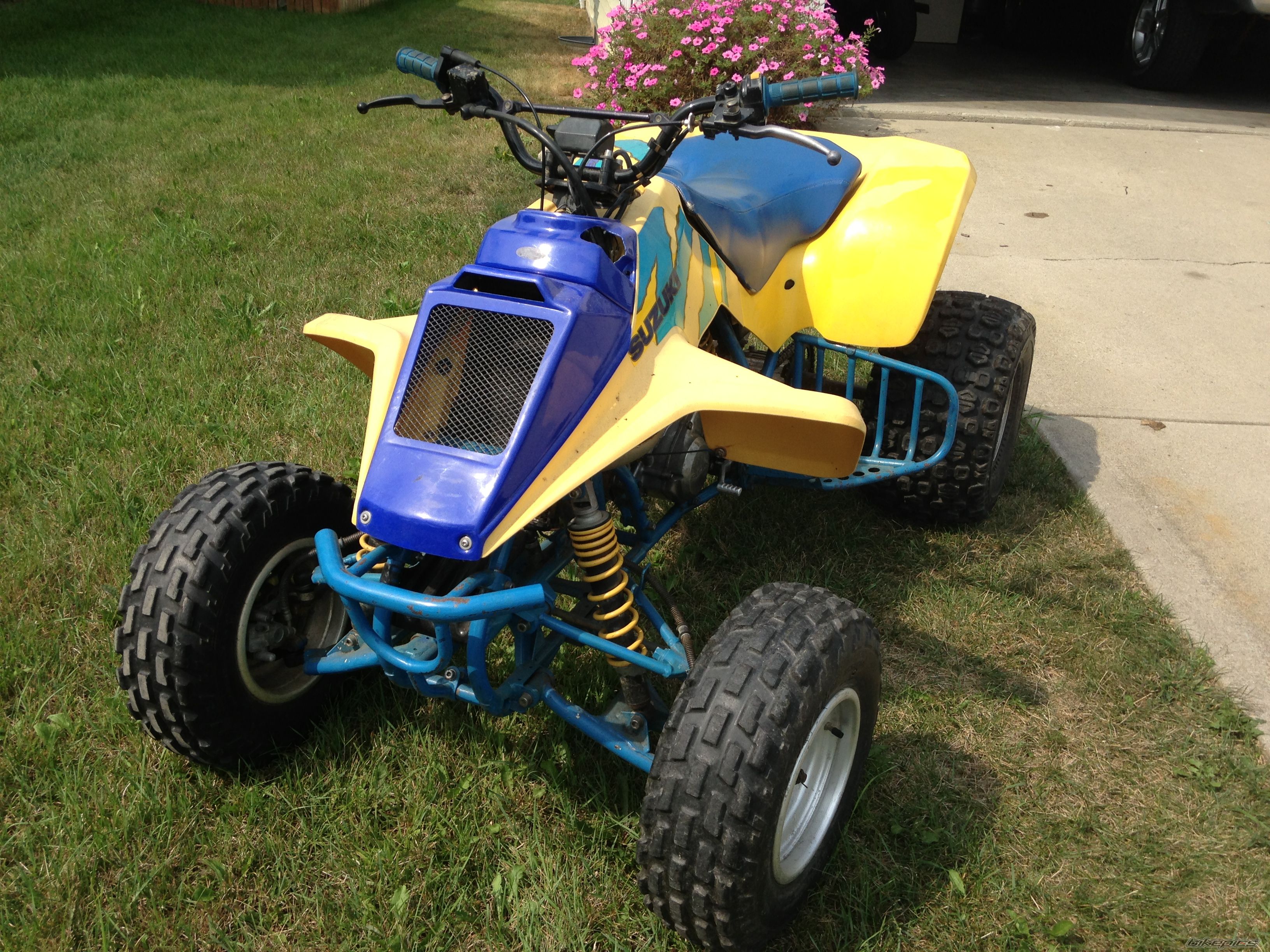Photo 2620399