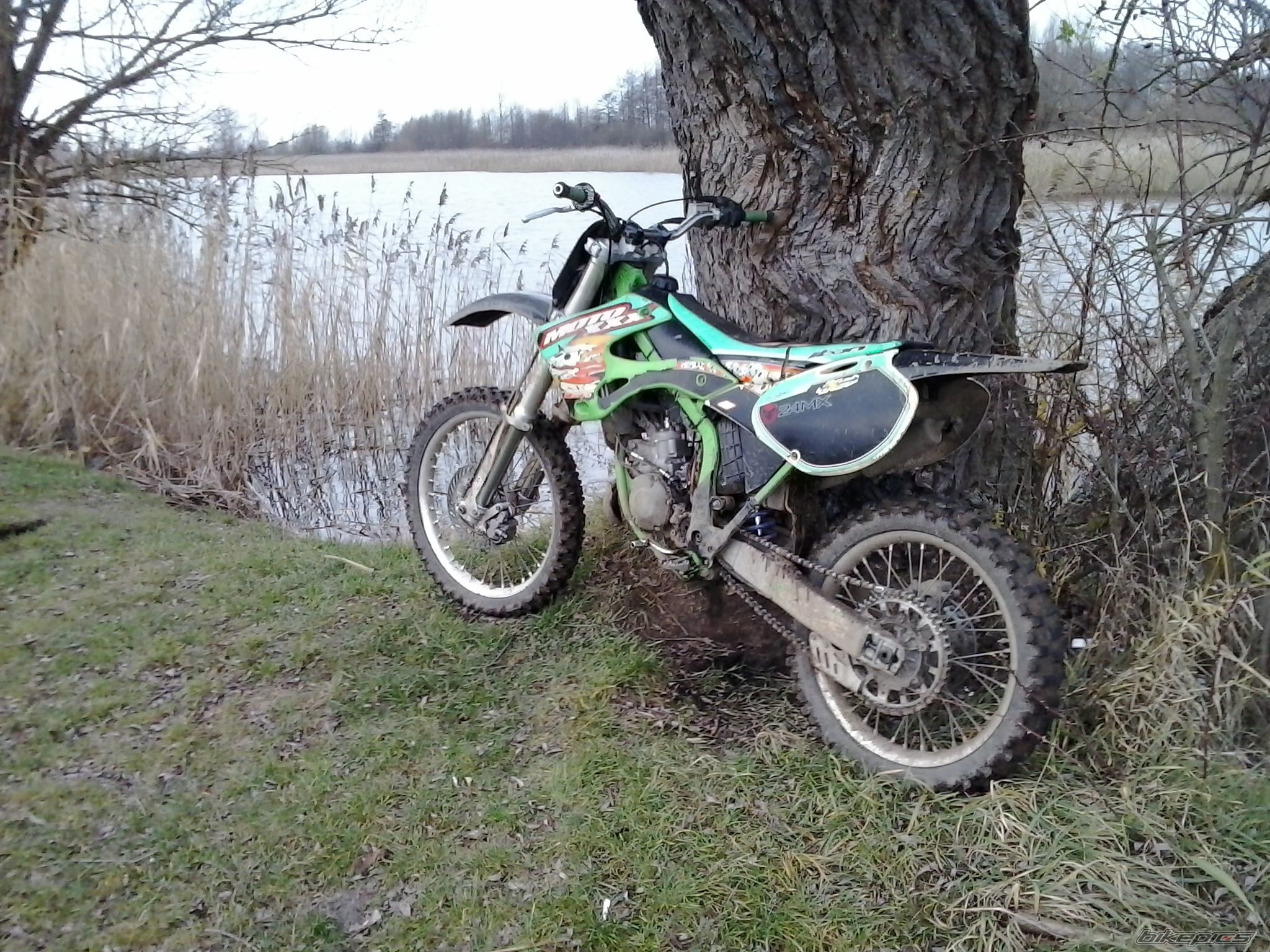 Photo 2620525