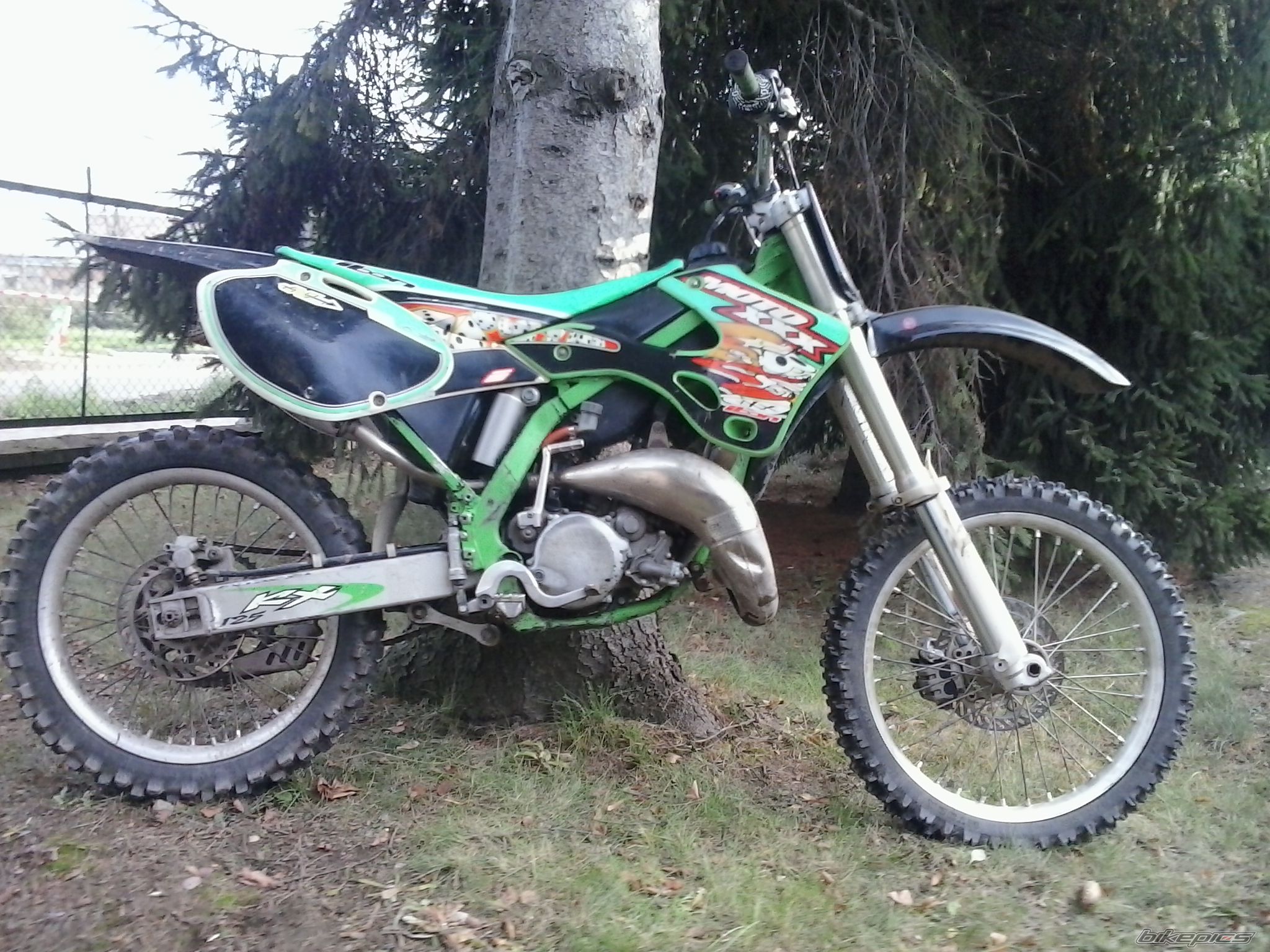 Photo 2620533