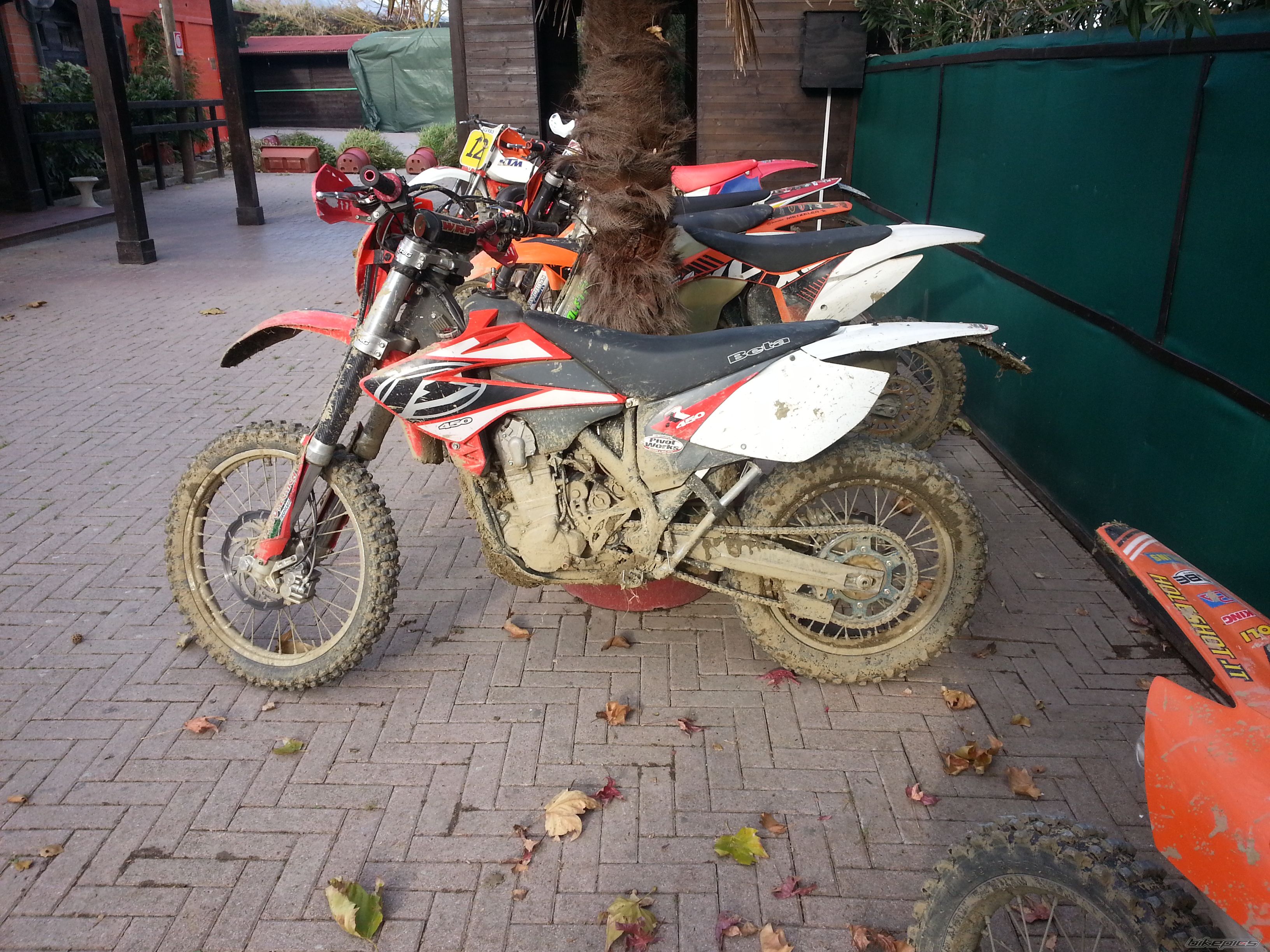 Photo 2620584