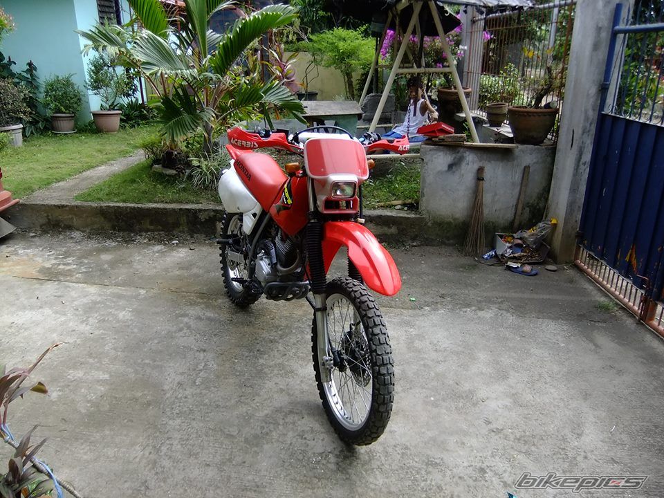 Photo 2620622