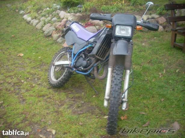 Photo 2620712