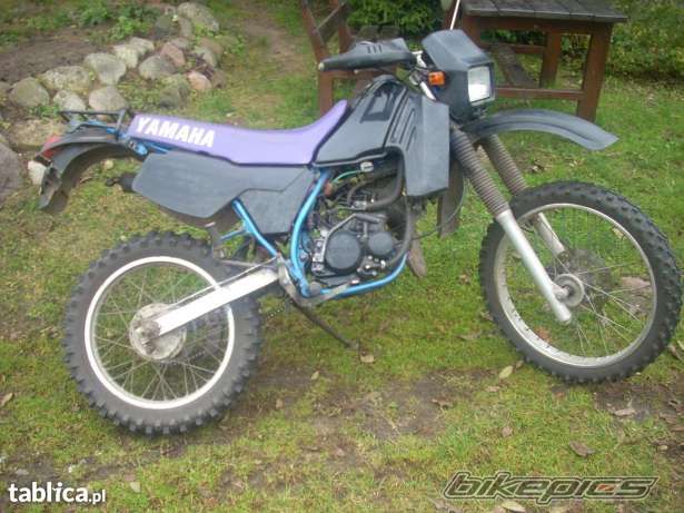 Photo 2620713