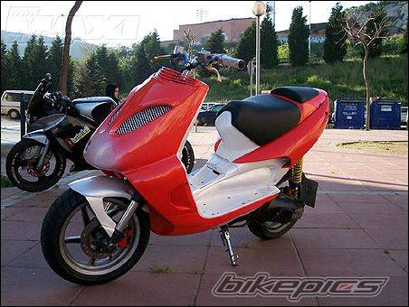 Photo 262079