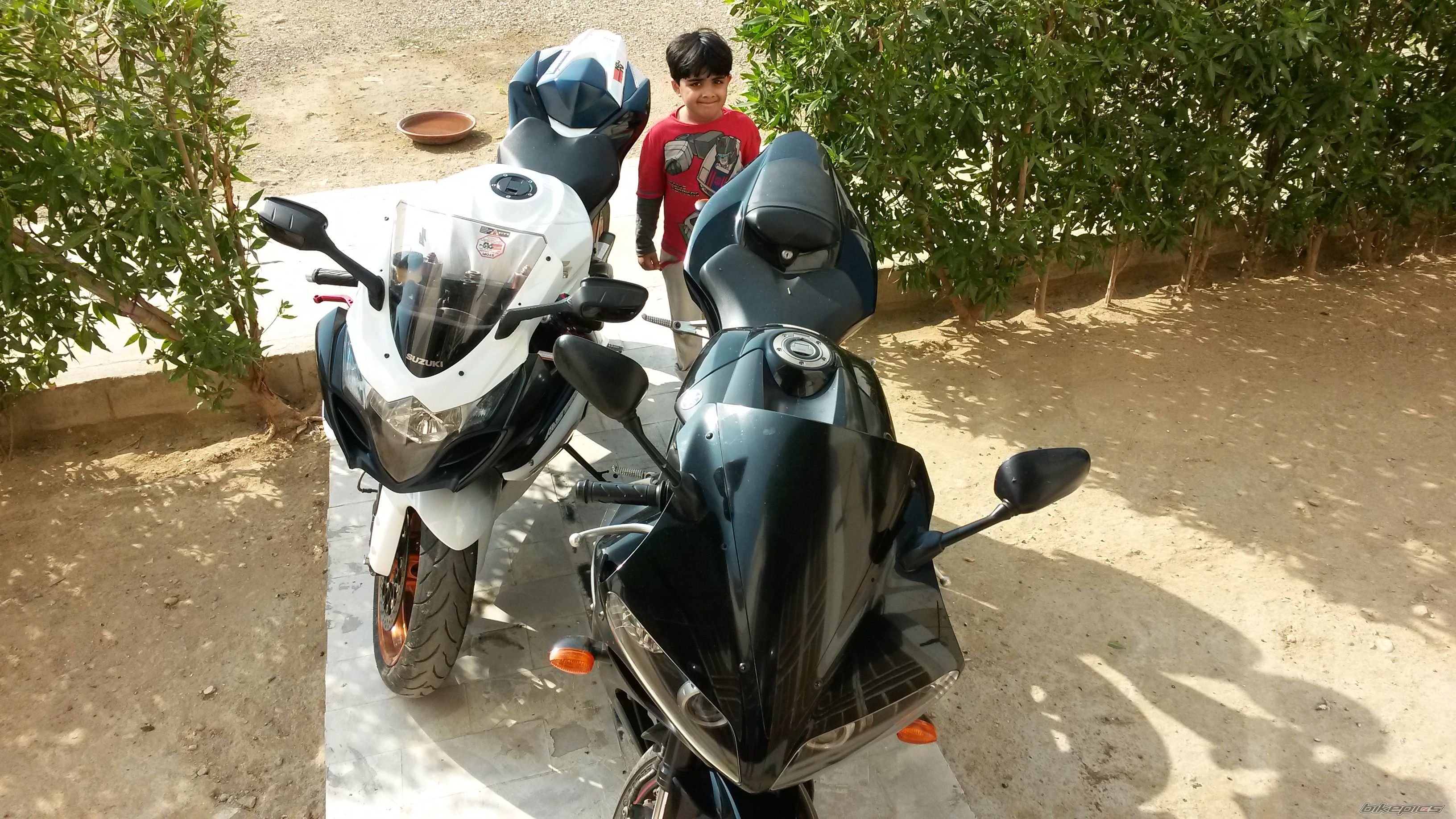 Photo 2620846