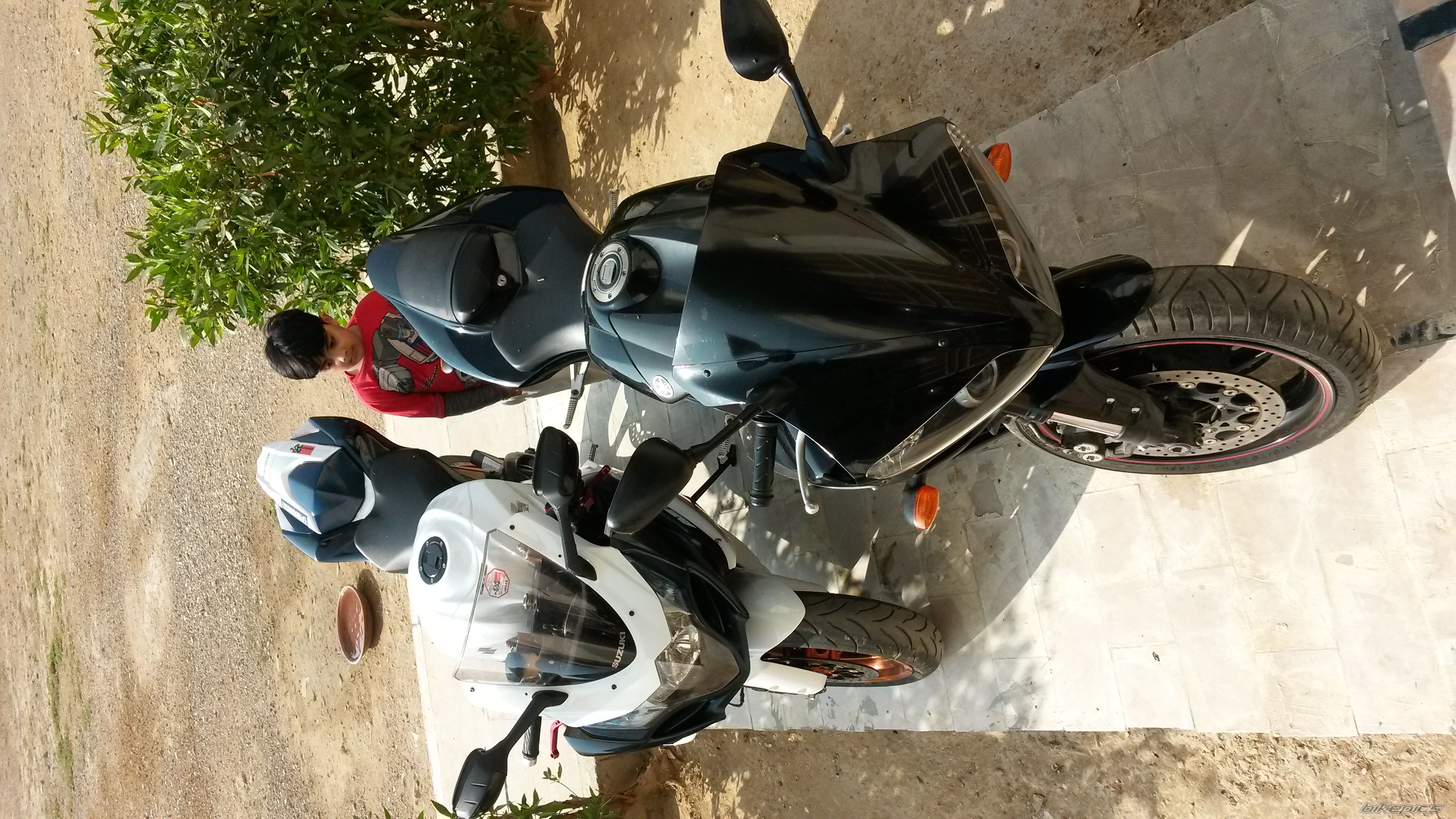 Photo 2620847