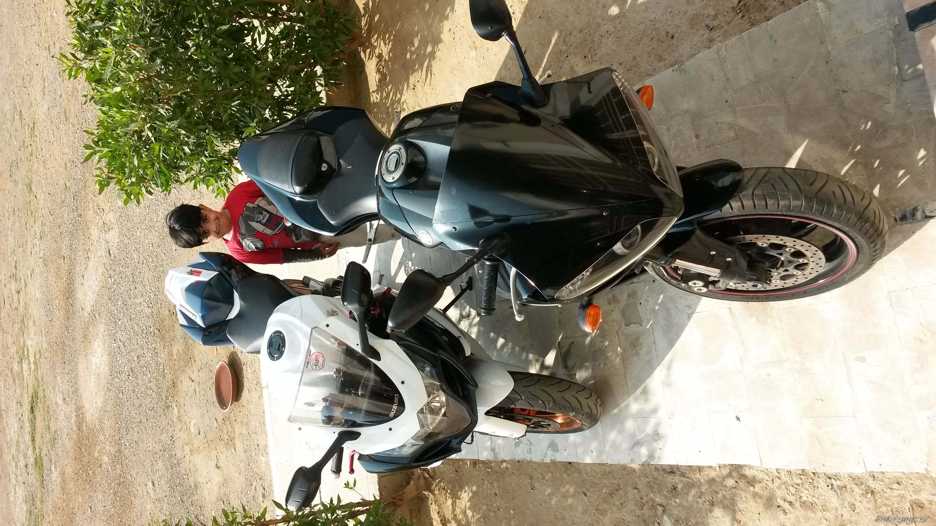 Photo 2620848