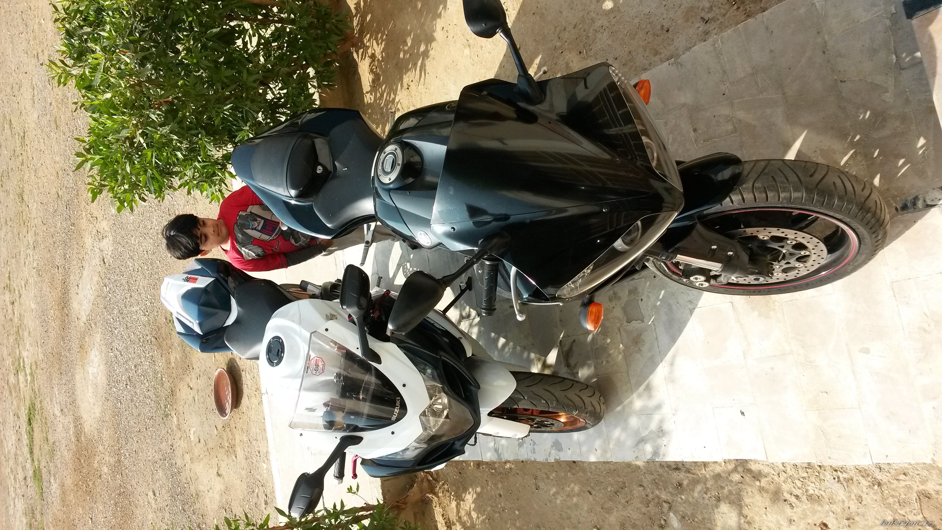 Photo 2620850