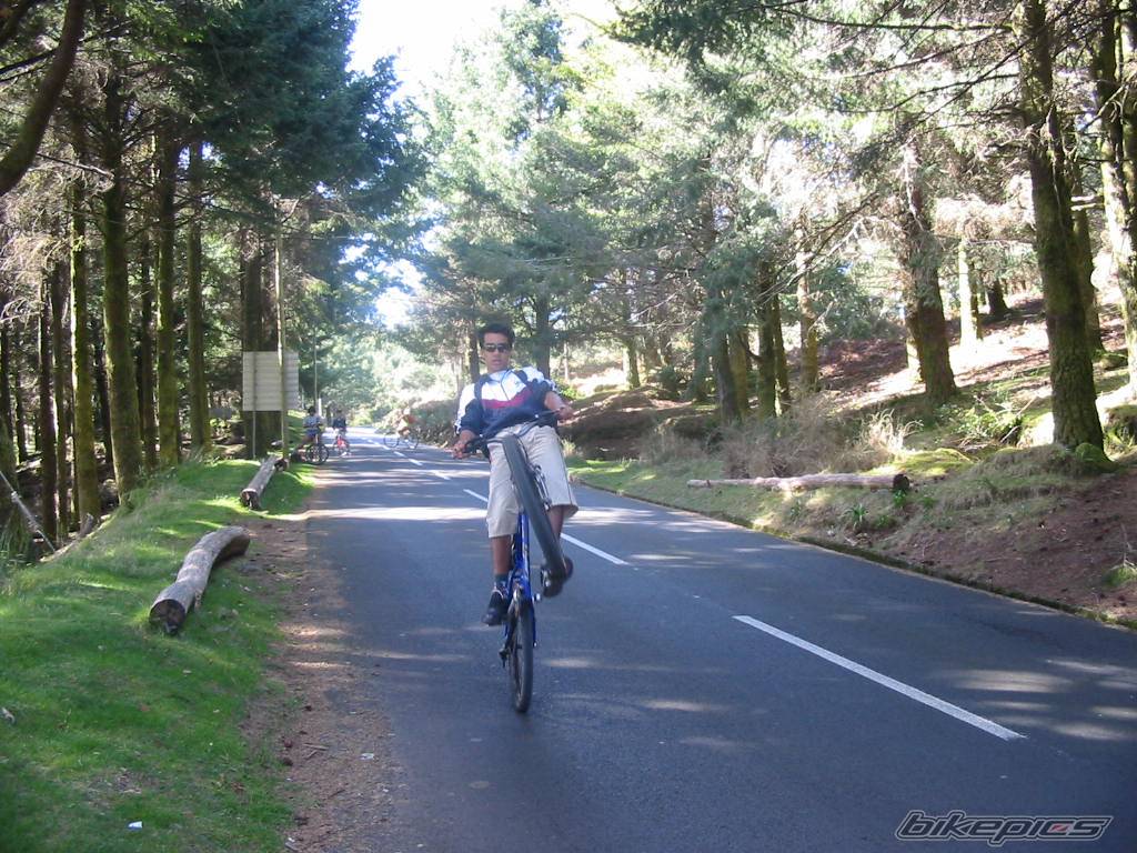 Bike Photo 262086