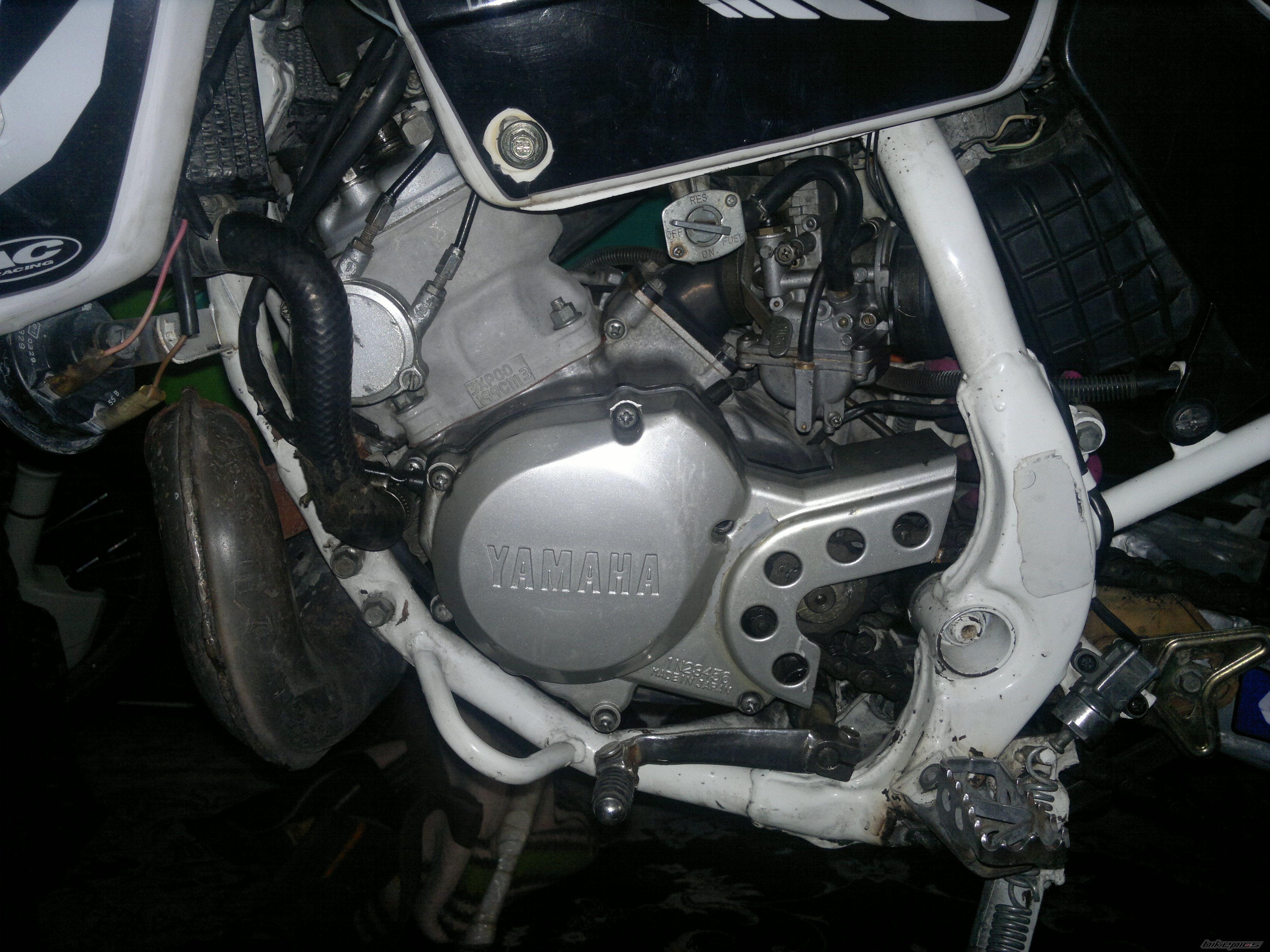Photo 2620921