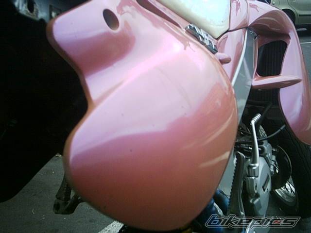 Photo 262093