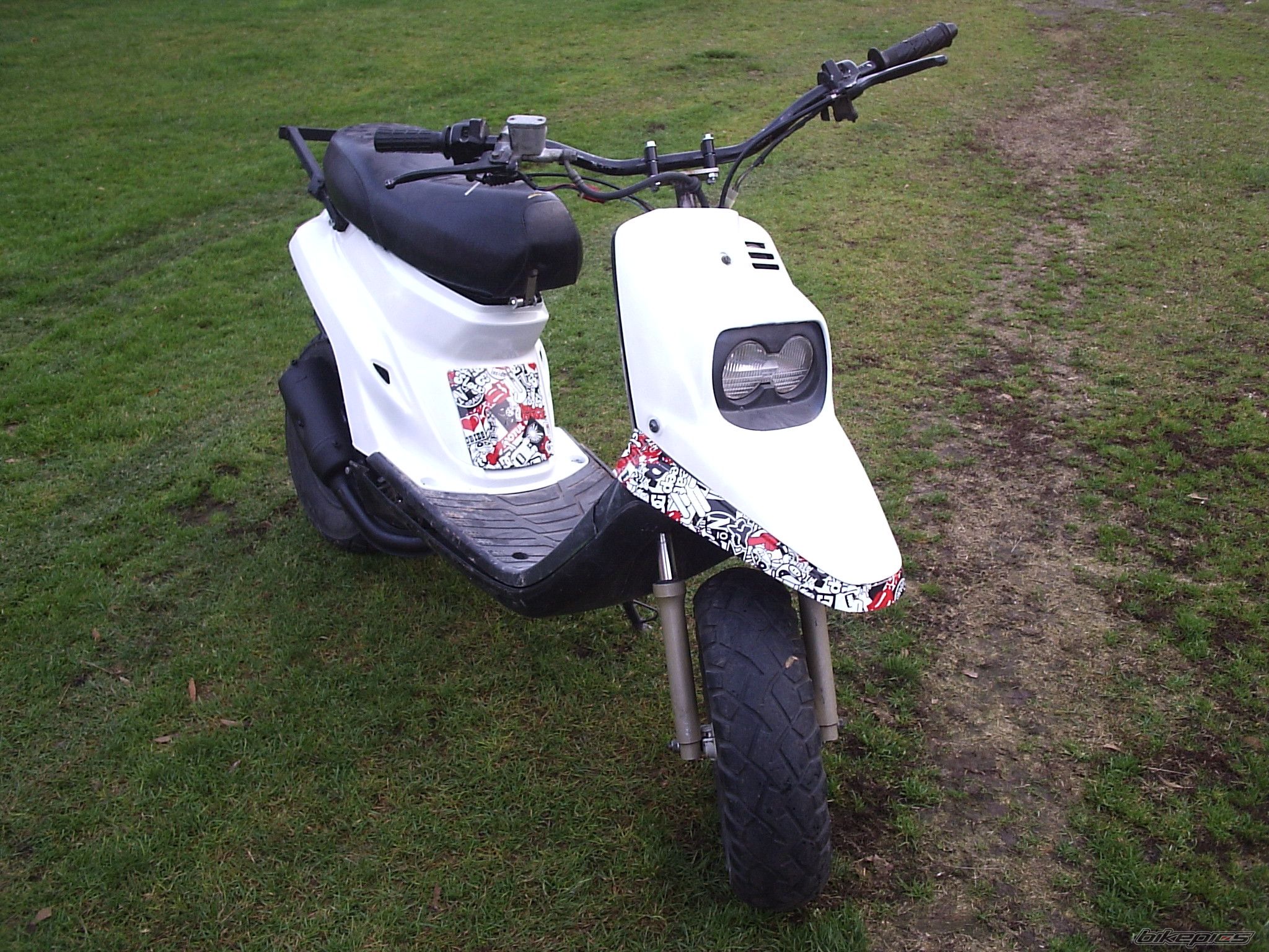 Photo 2620994