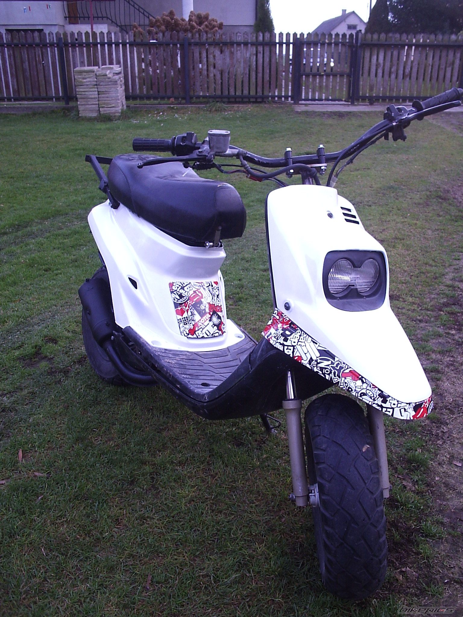 Photo 2620996