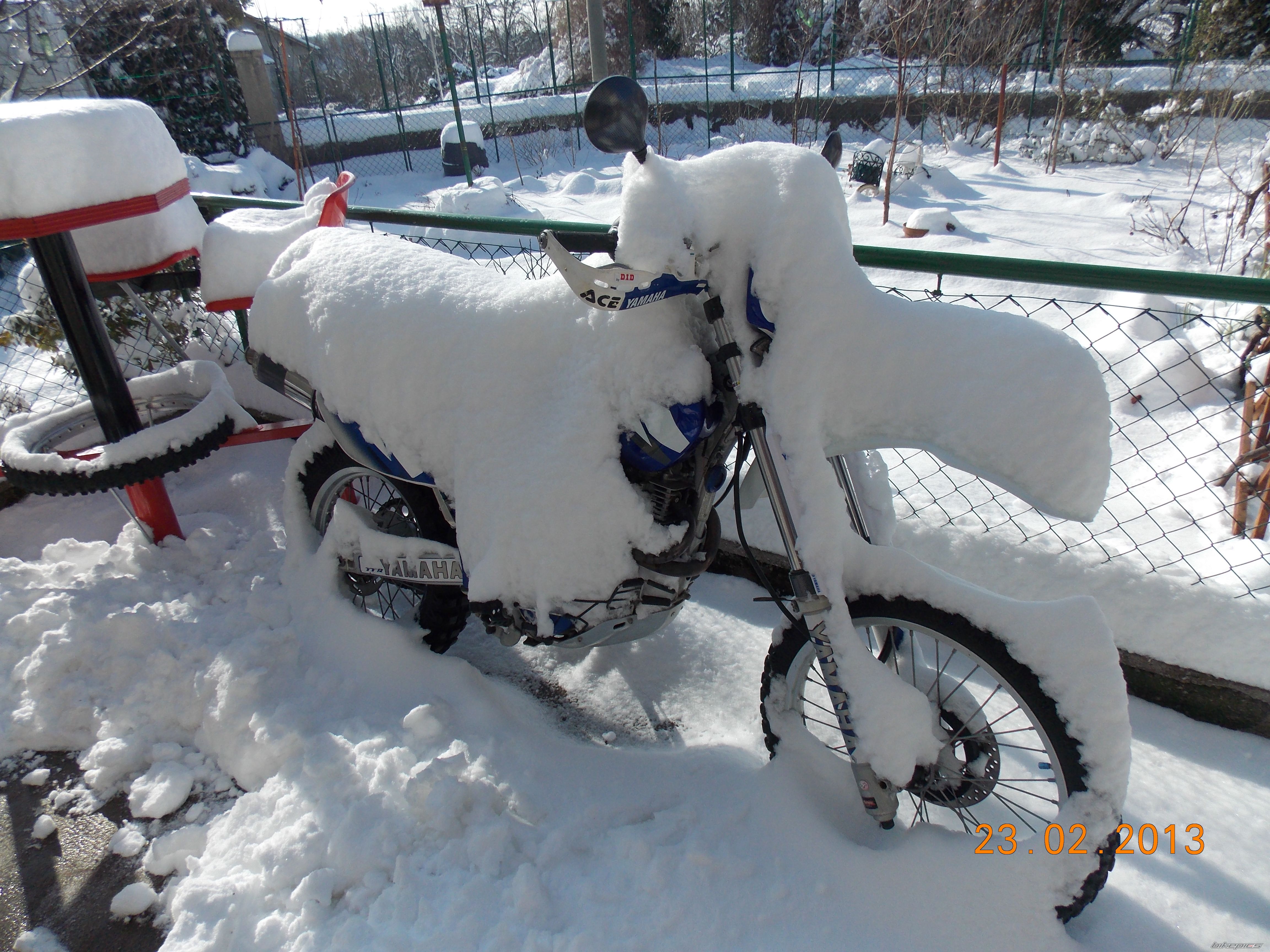 Photo 2621058
