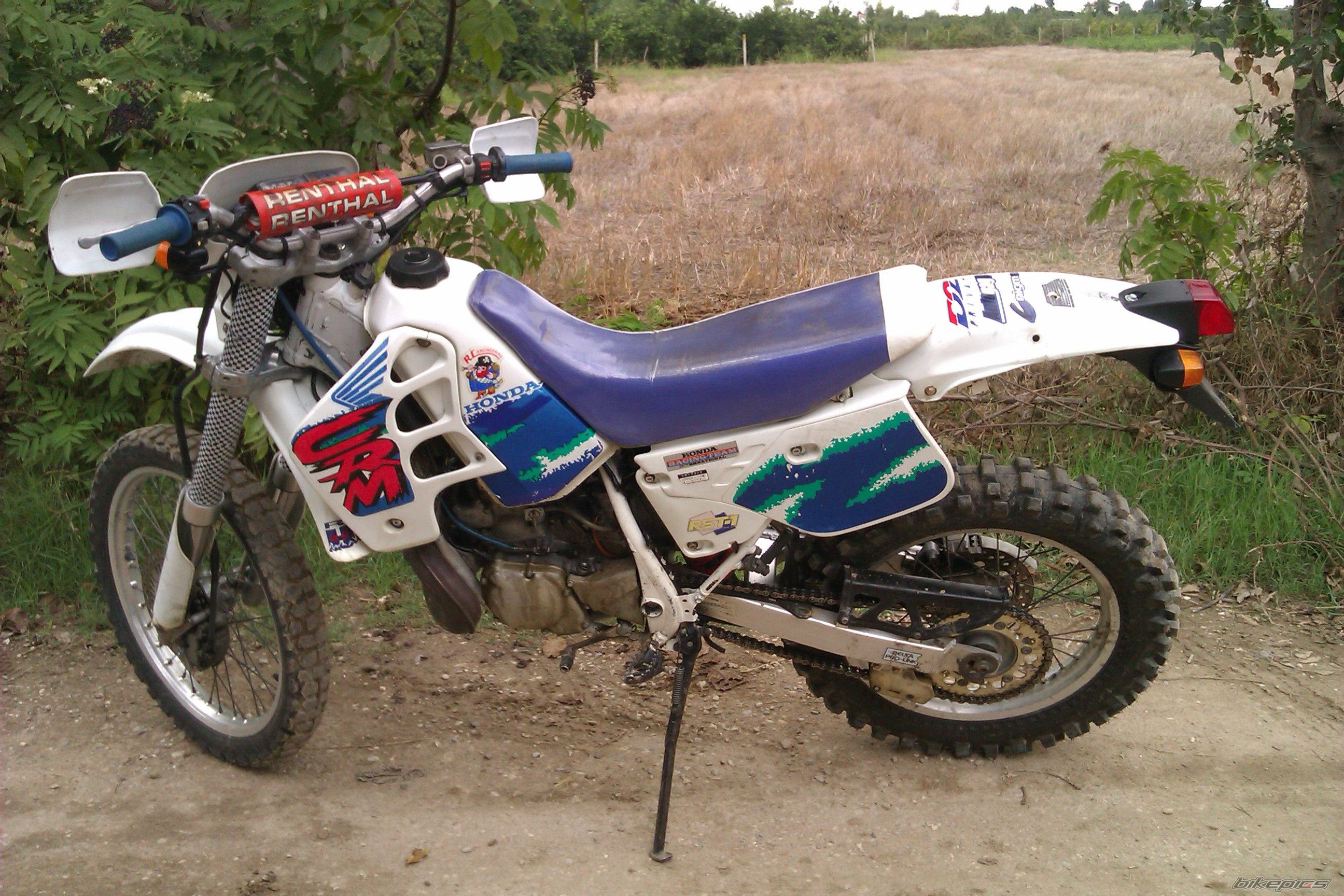 Photo 2621131