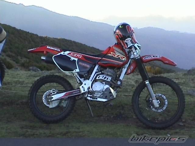 Photo 262129