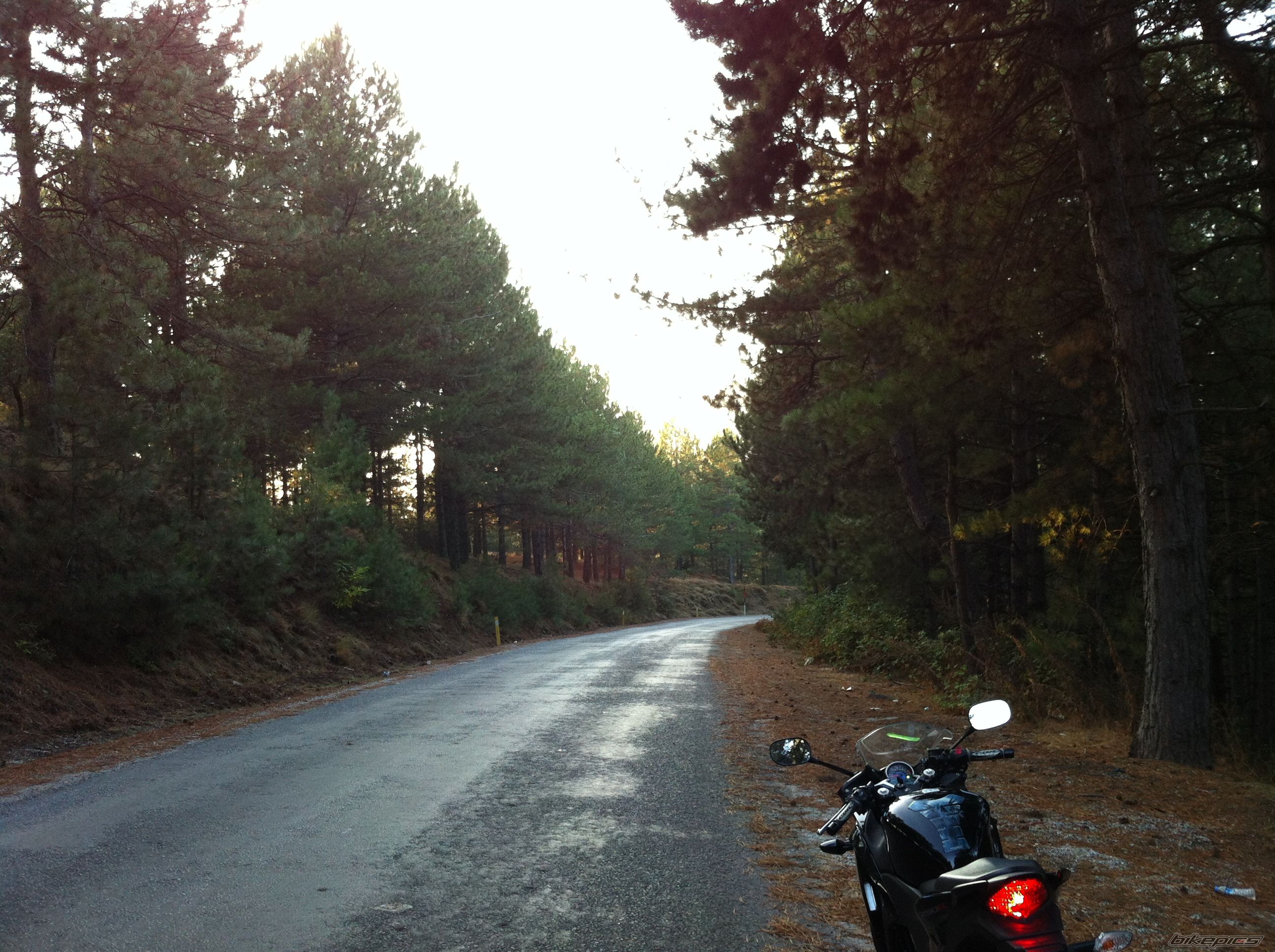 Photo 2621292
