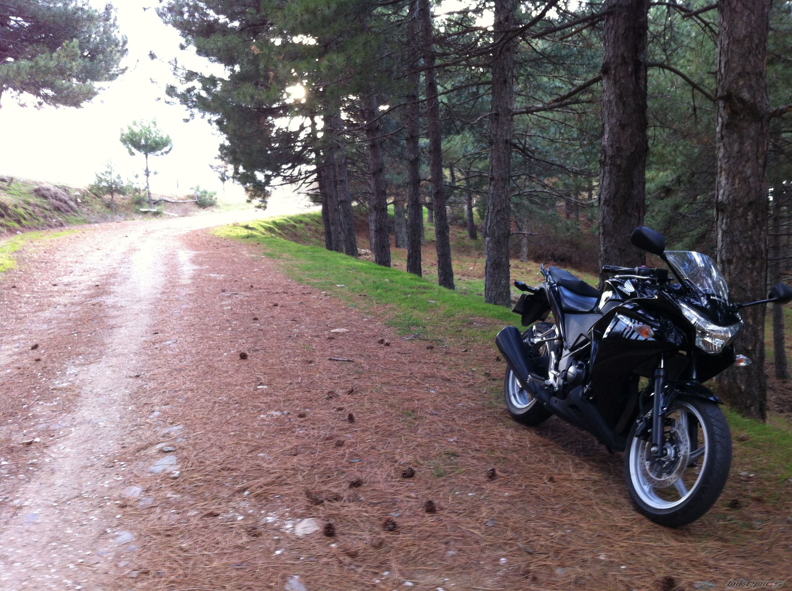 Photo 2621293