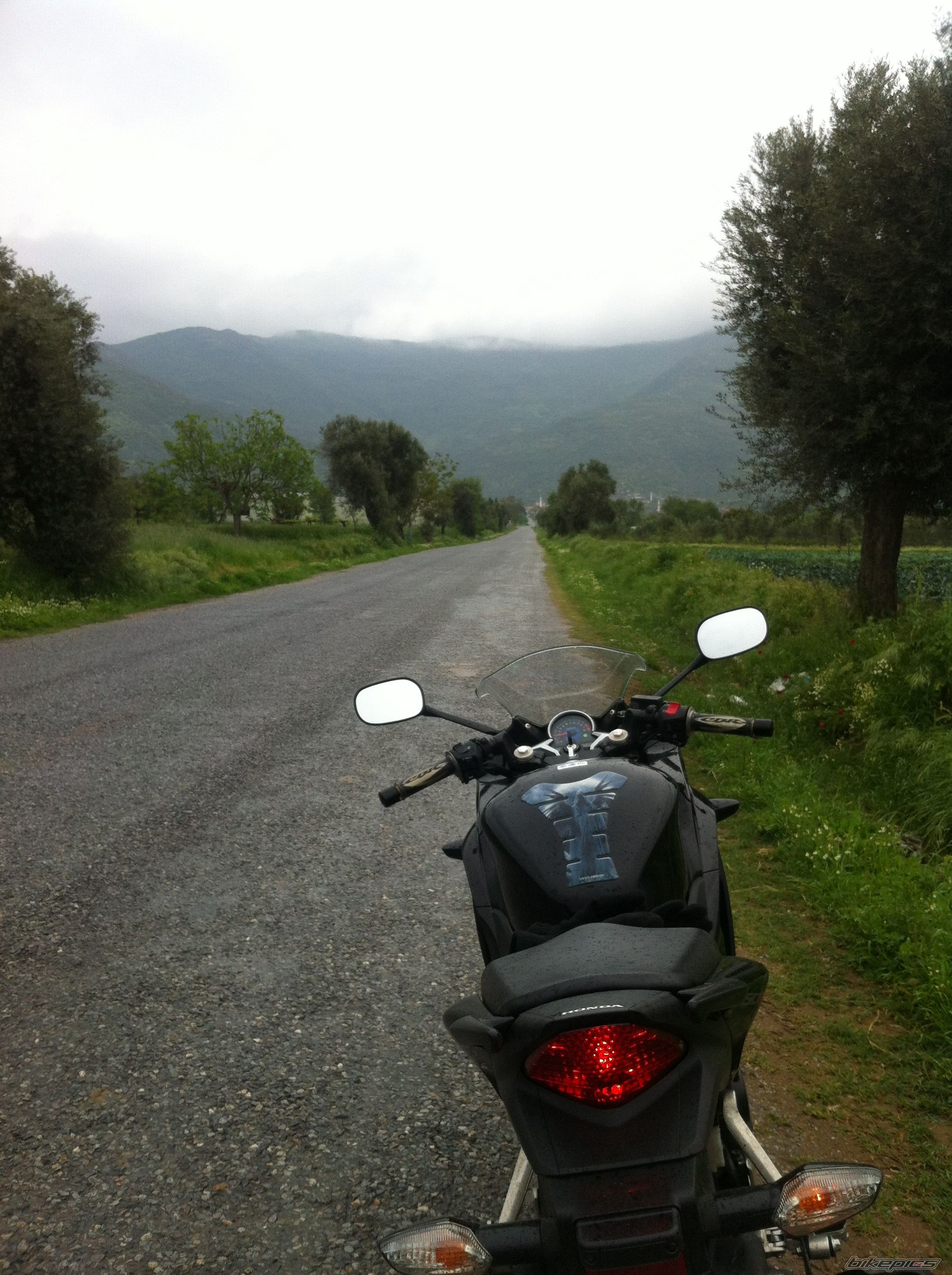Photo 2621299