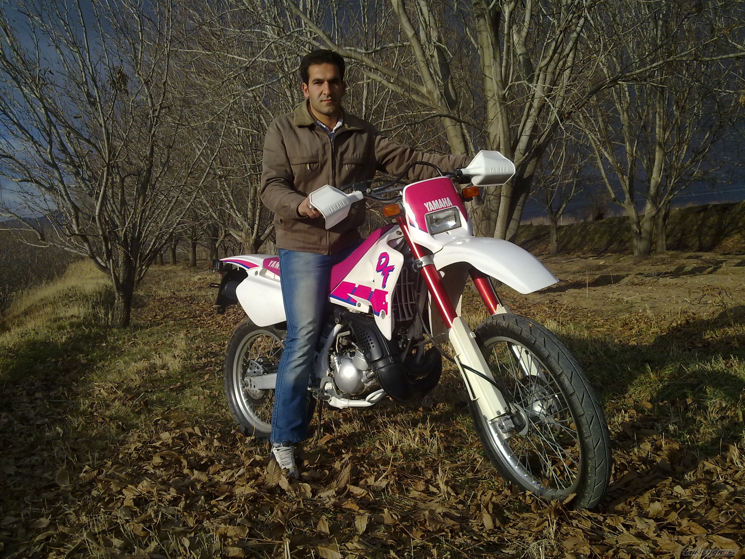 Photo 2621367
