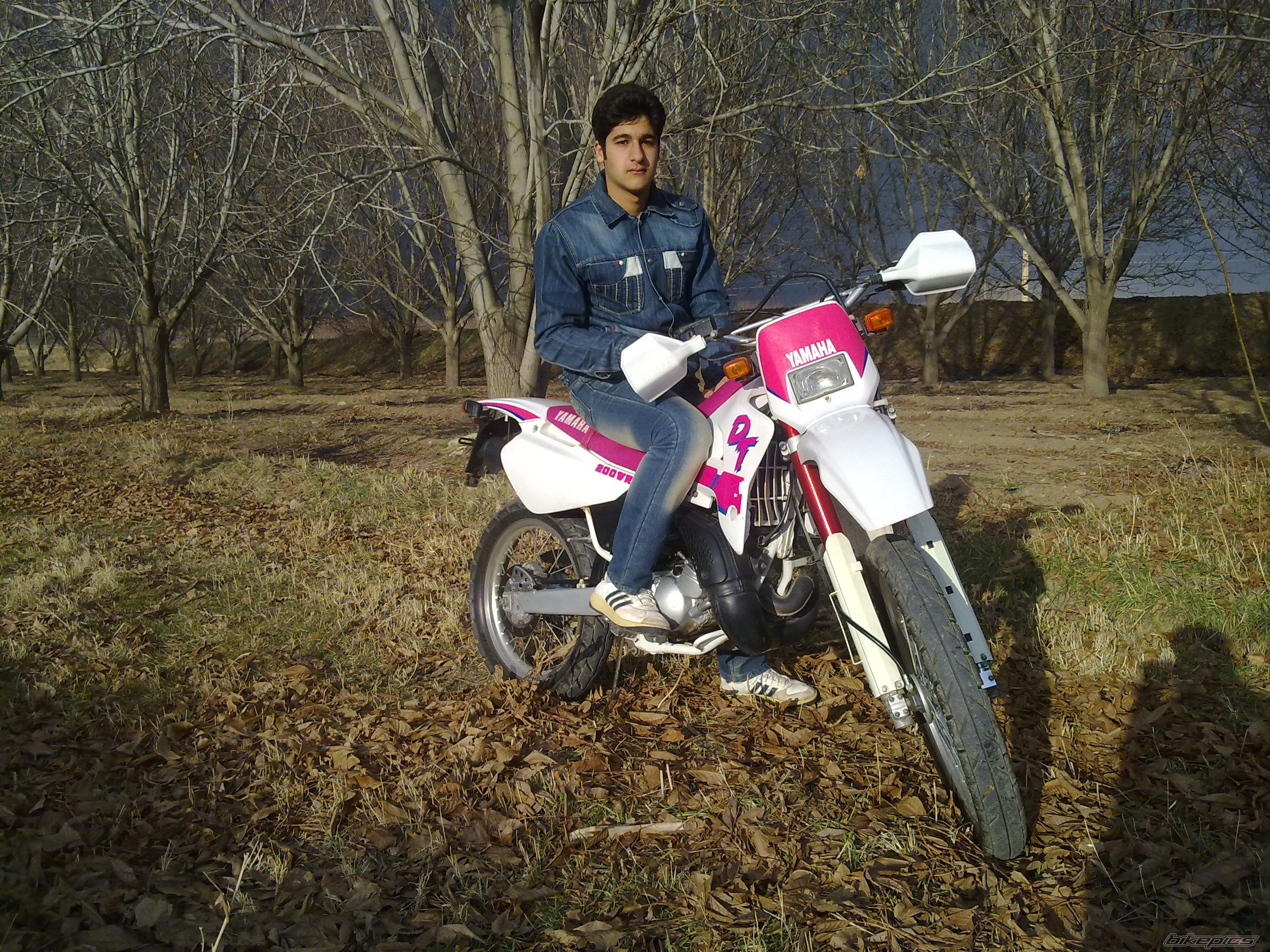 Photo 2621369