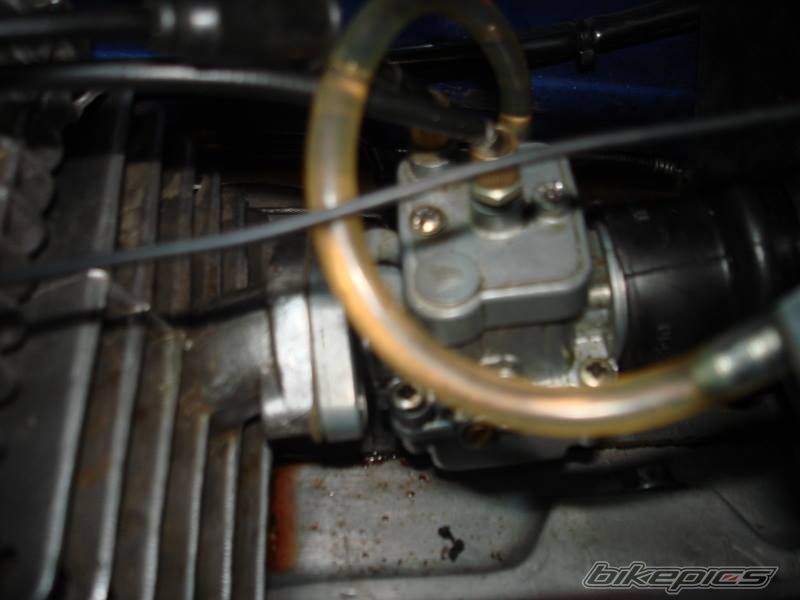 Photo 2621417