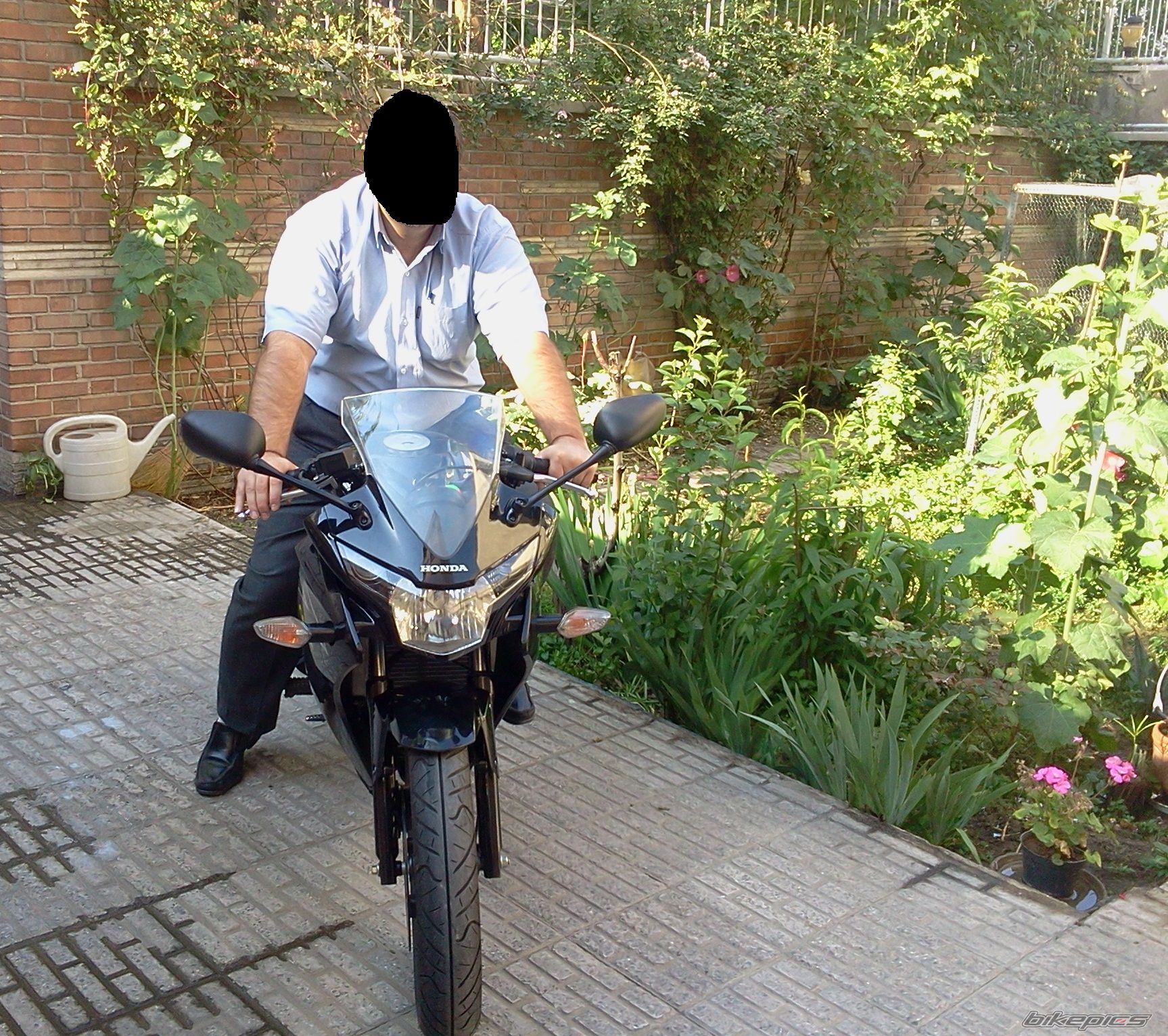 Photo 2621454