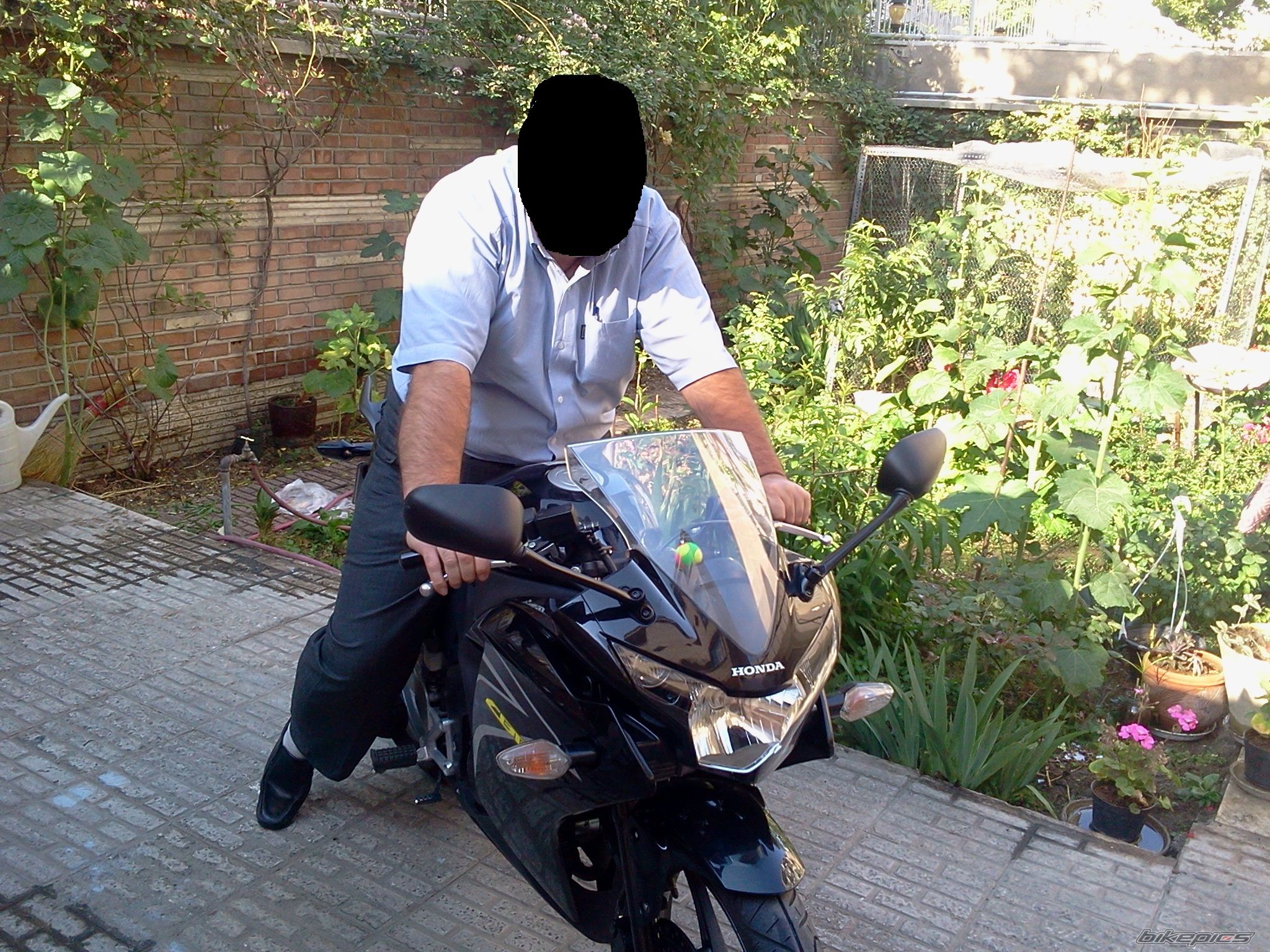 Photo 2621456