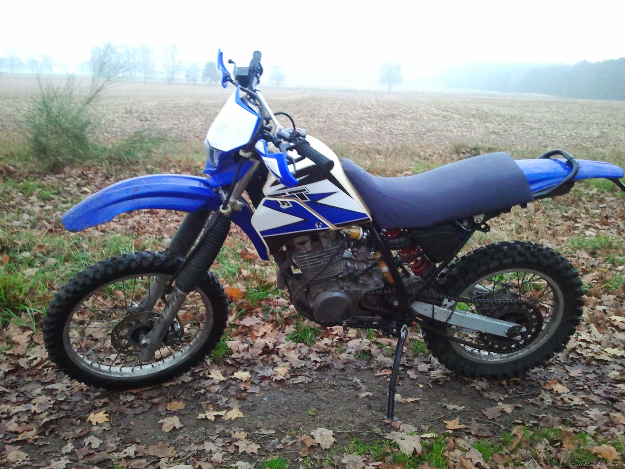 Bike Photo 2621482