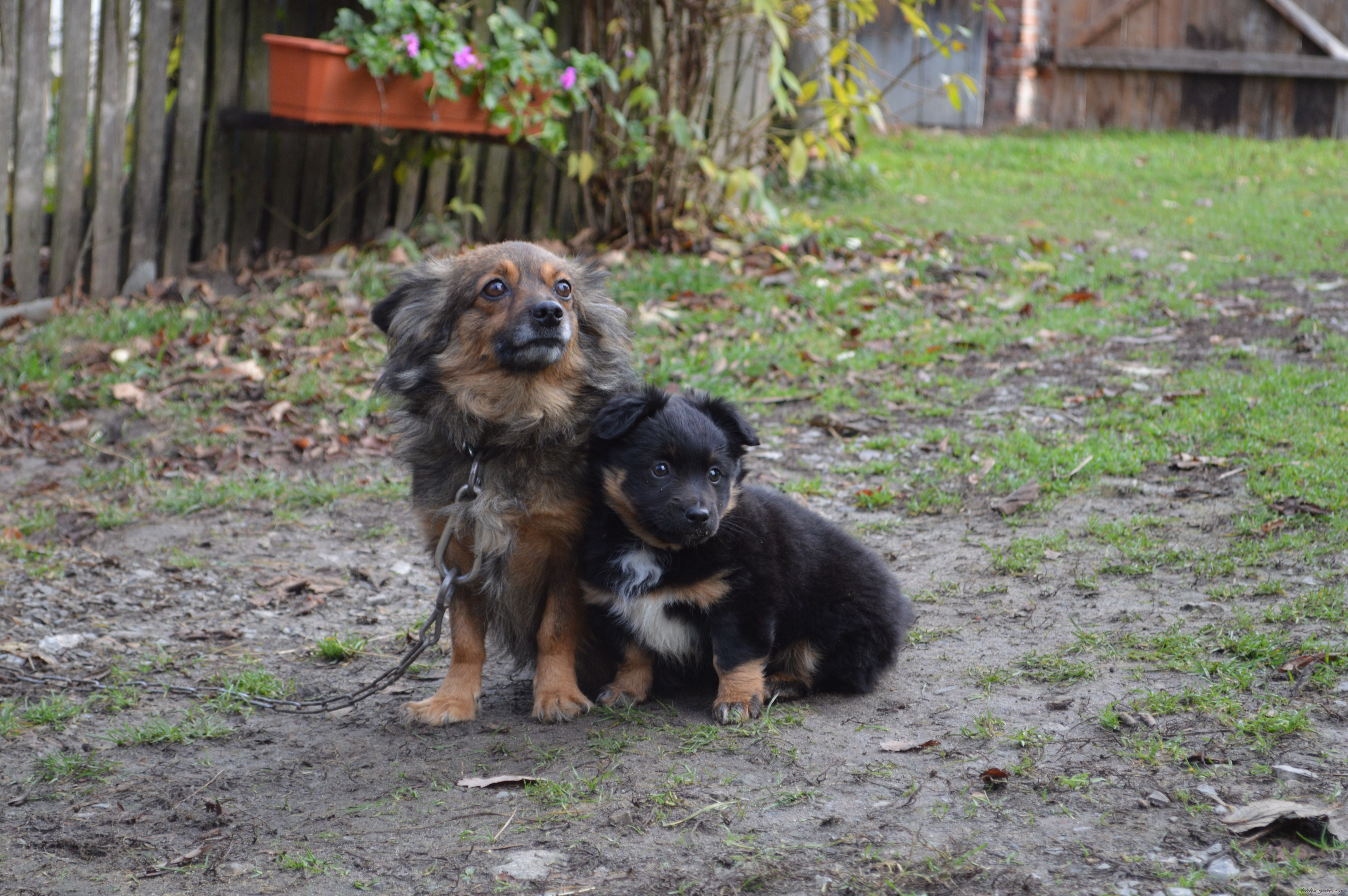 Photo 2621527