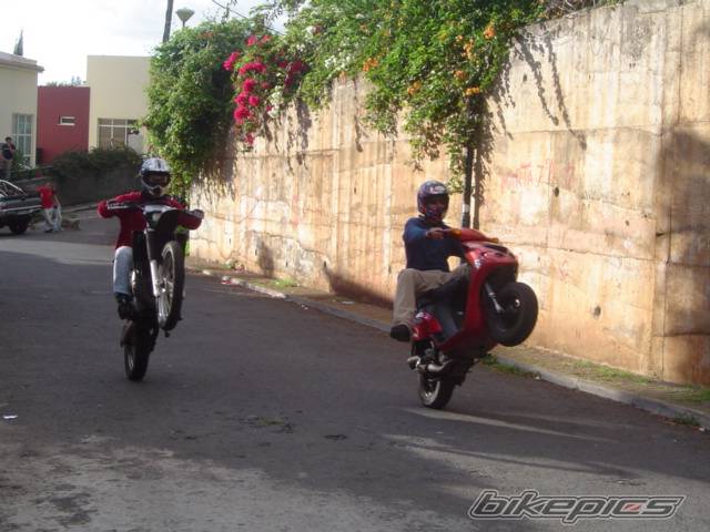 Bike Photo 262155