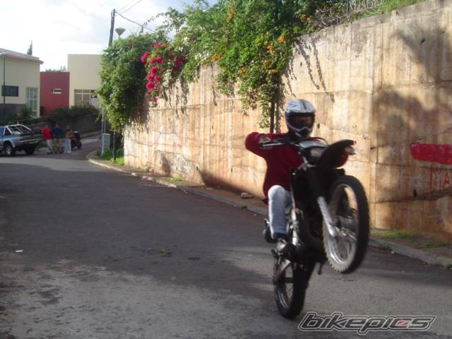 Bike Photo 262157