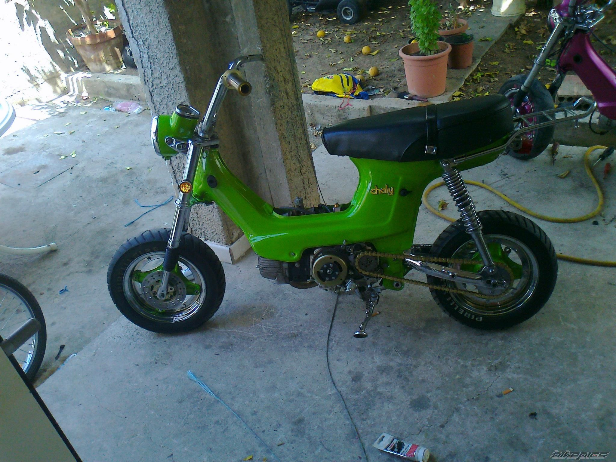 Photo 2621625