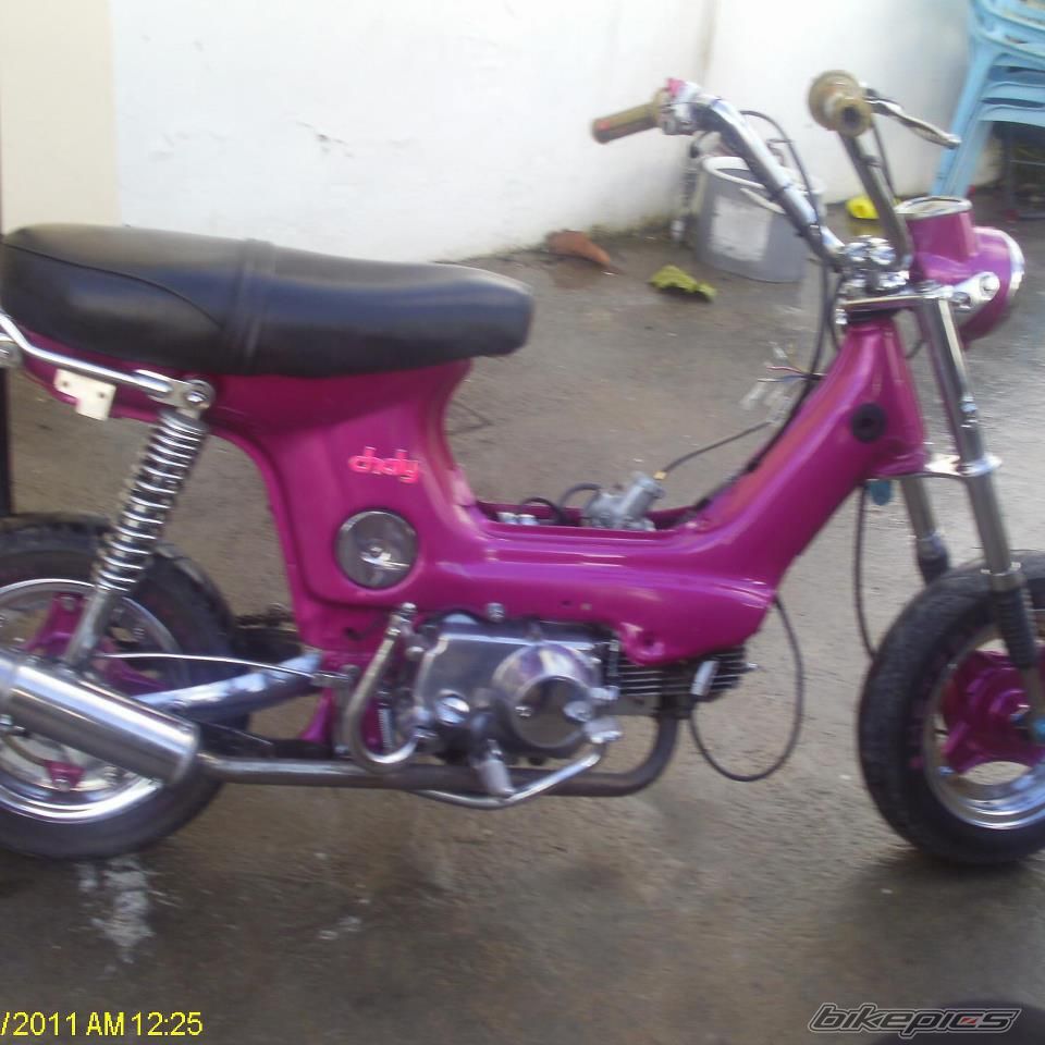 Photo 2621629