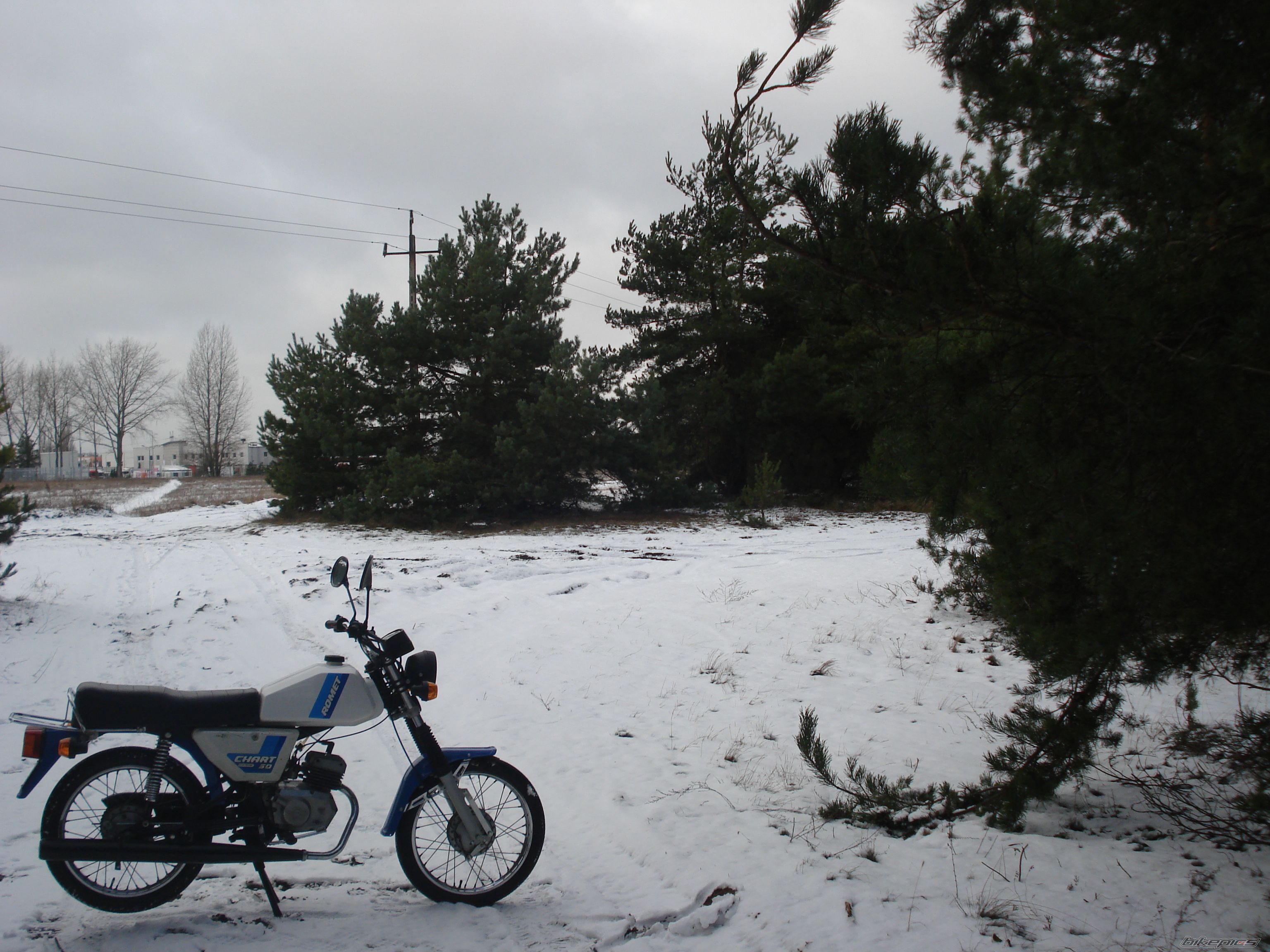 Photo 2621780