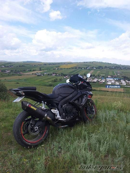 Photo 2621804