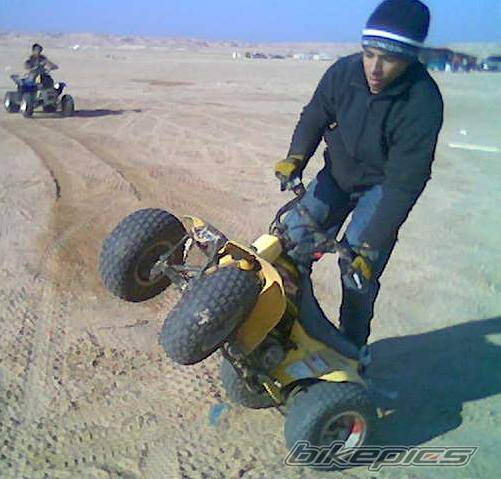 Bike Photo 262182