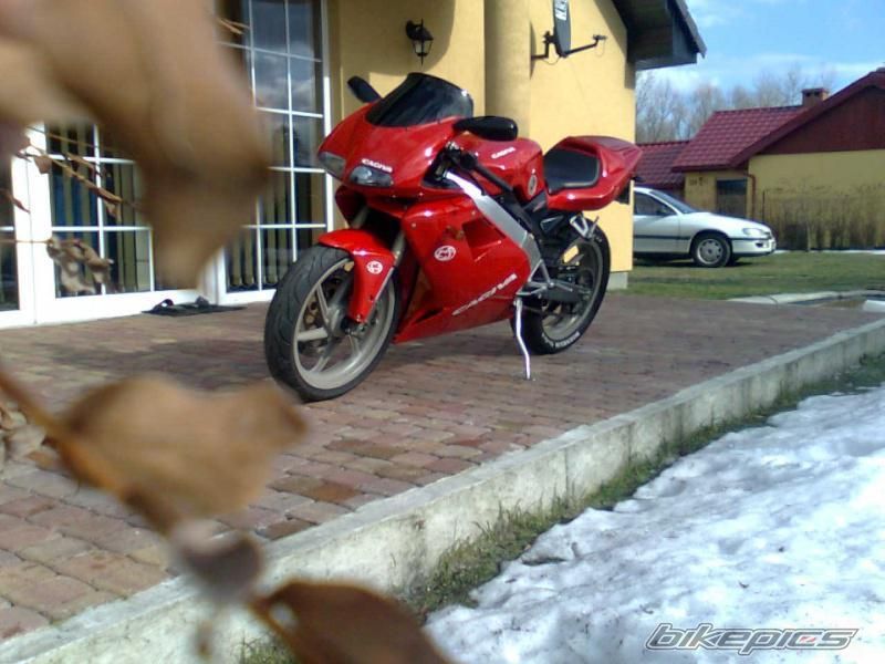 Photo 2621846
