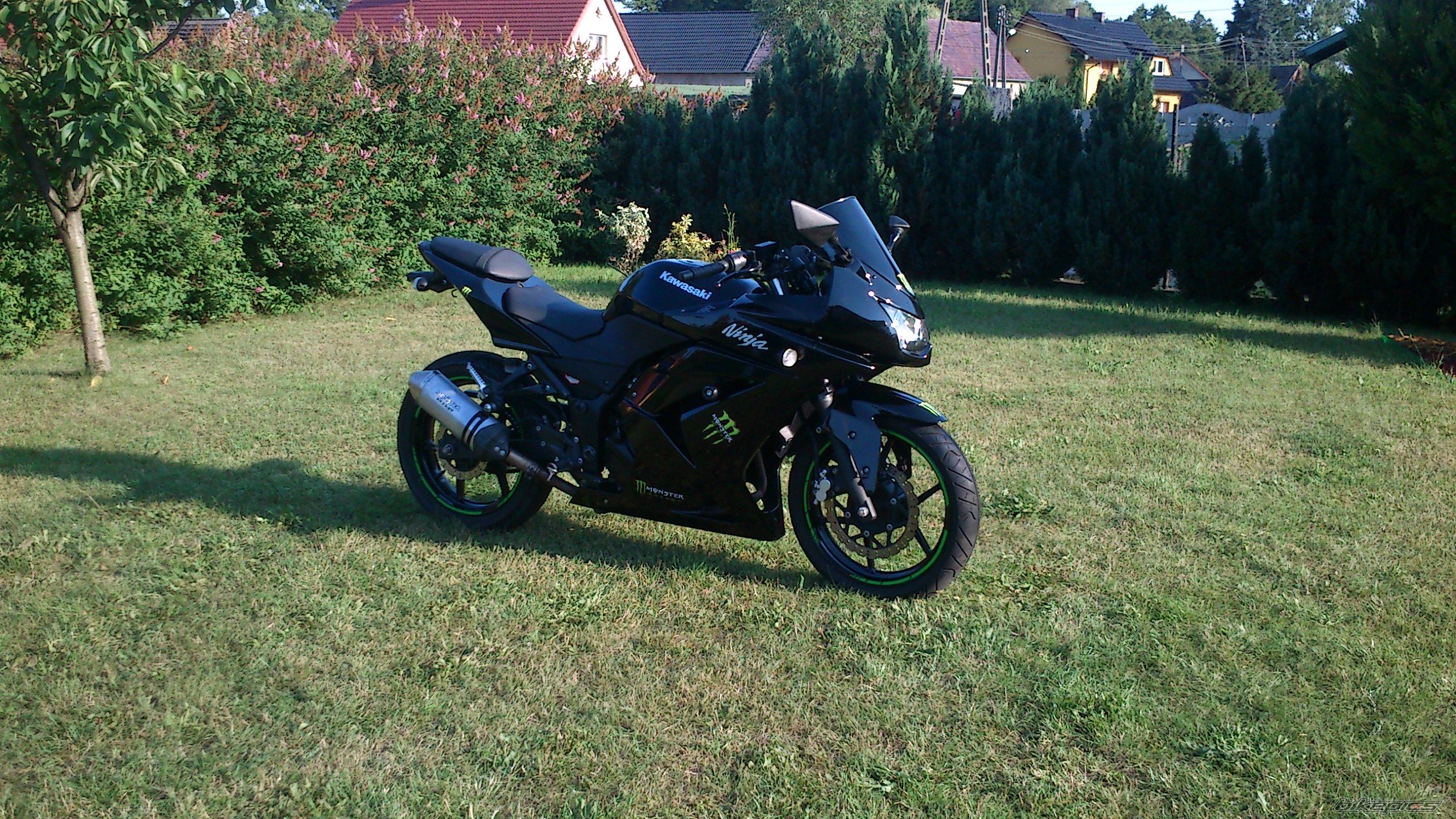 Photo 2621861