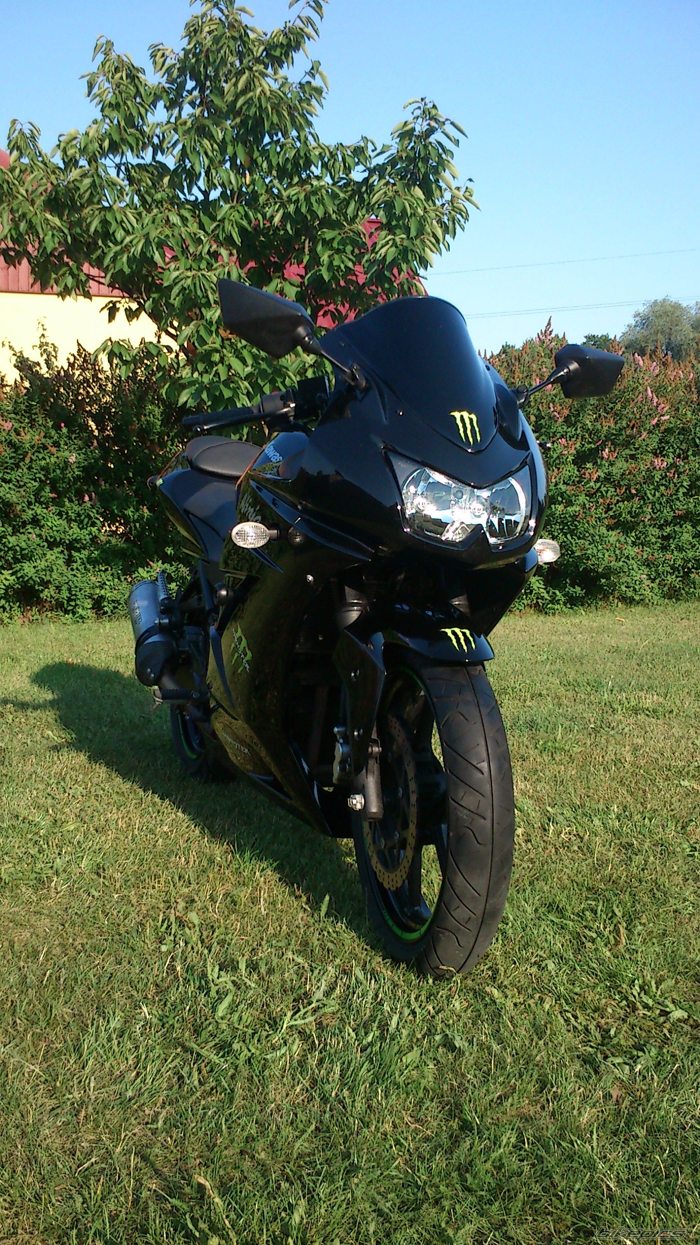 Photo 2621863