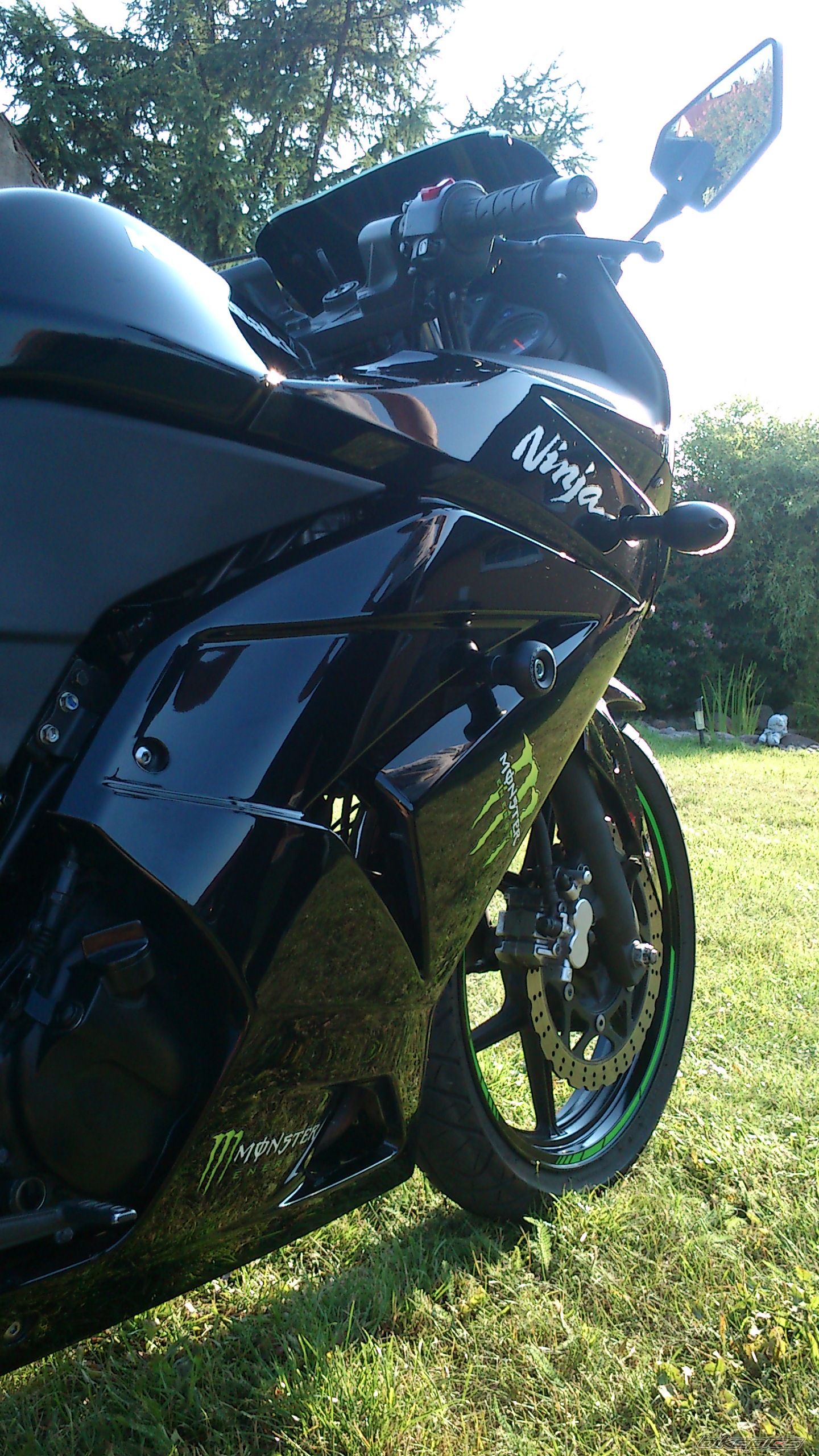 Photo 2621868