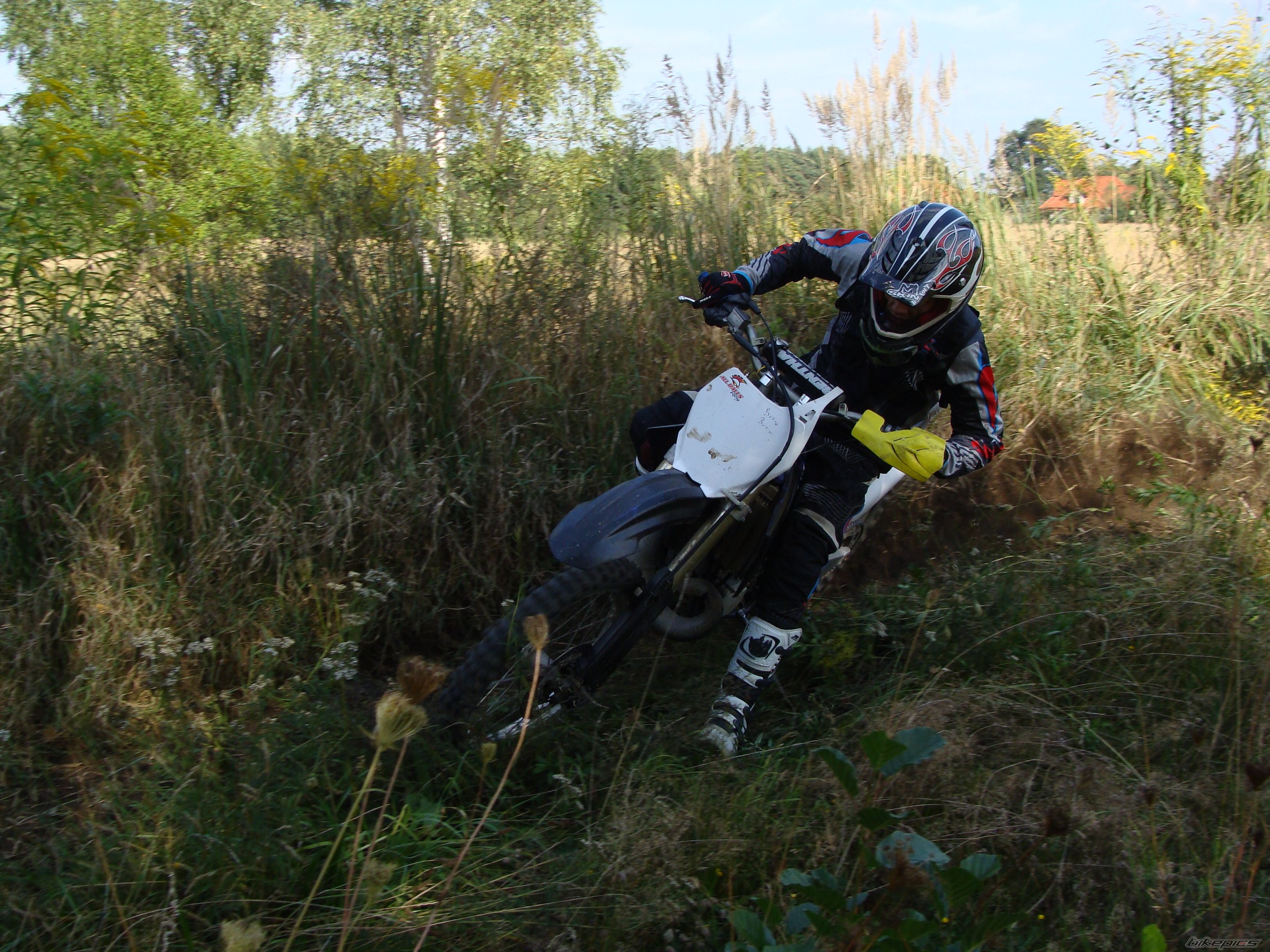 Photo 2621922