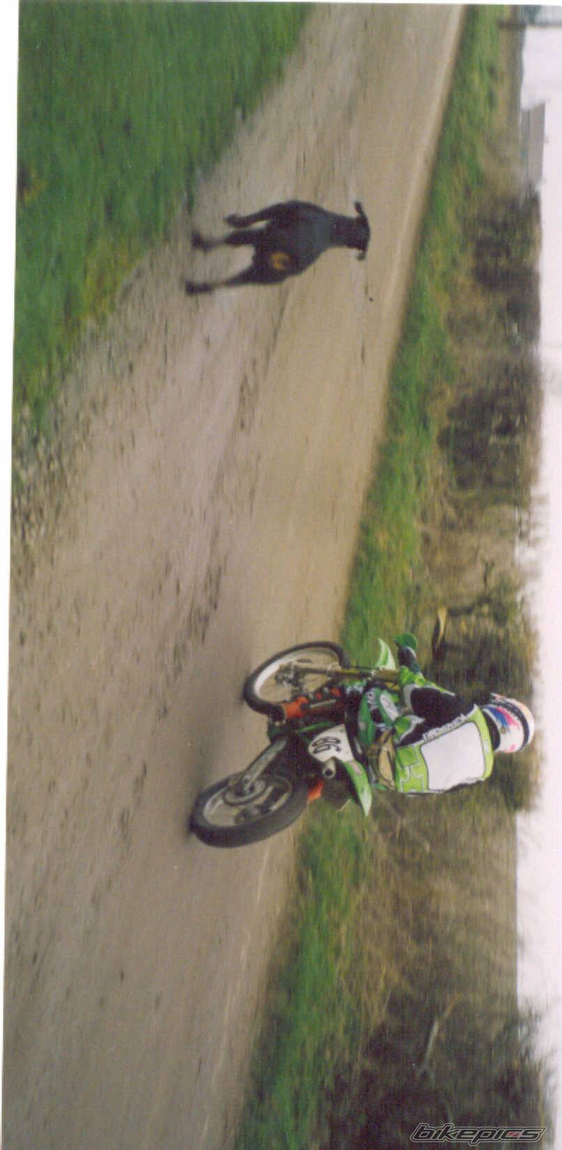 Photo 262203