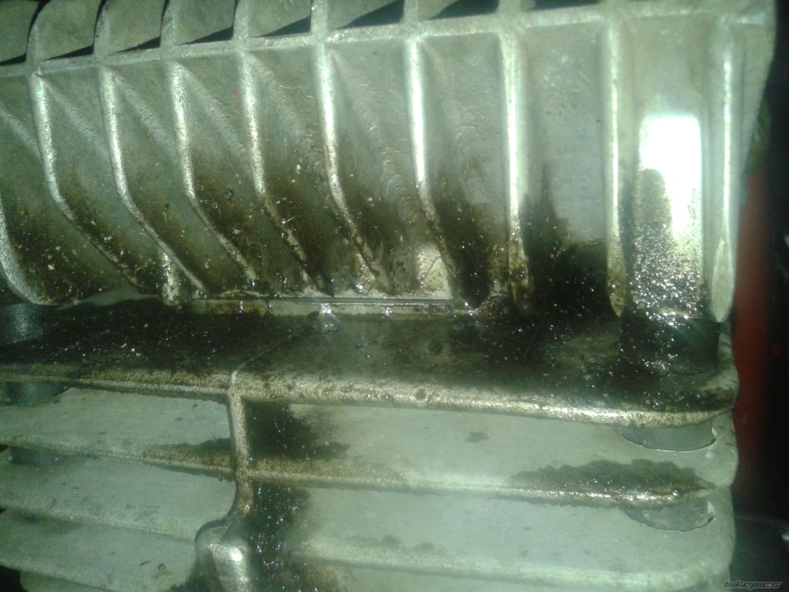 Photo 2622090